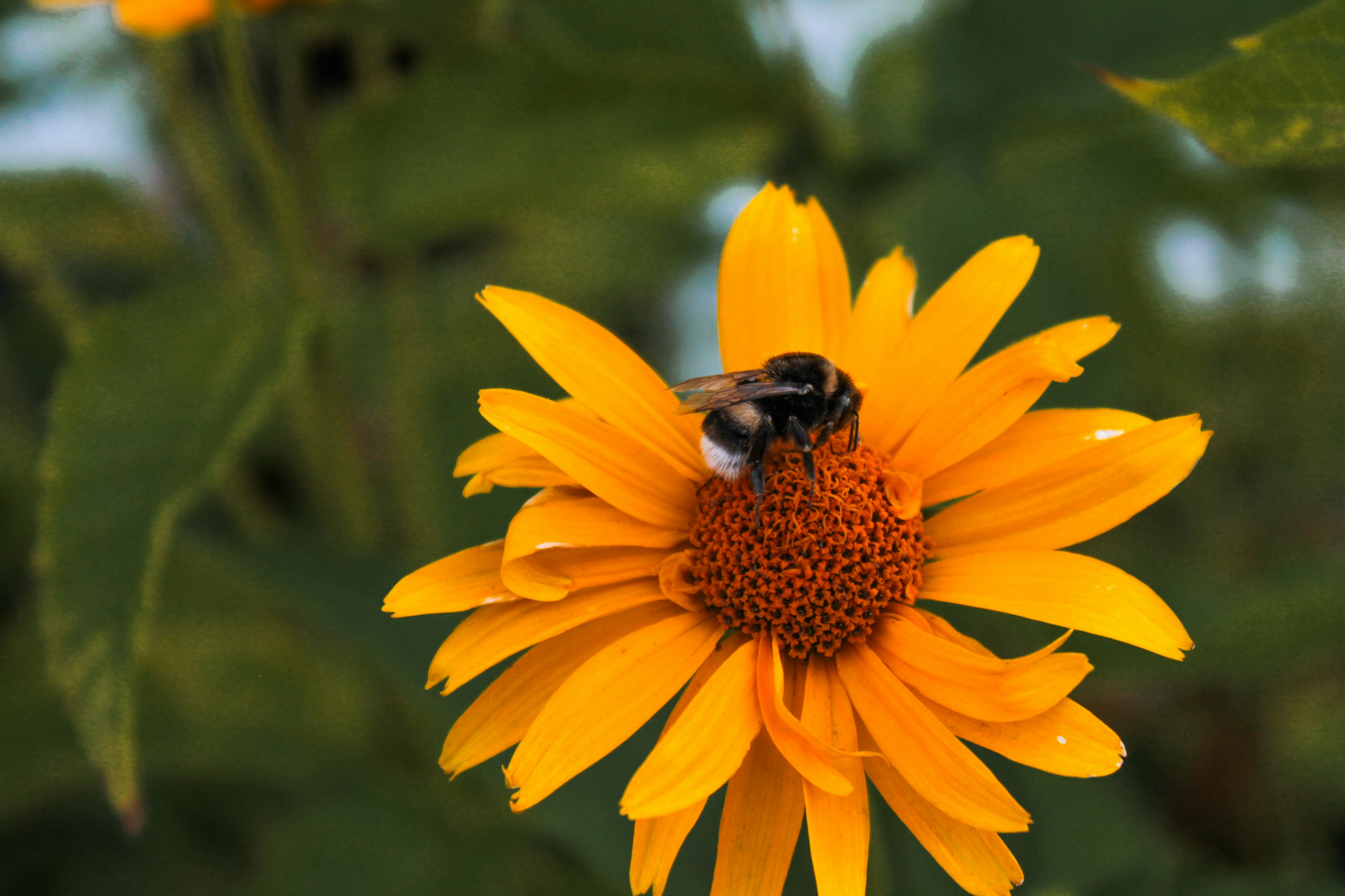 Photo by vvehkalahti