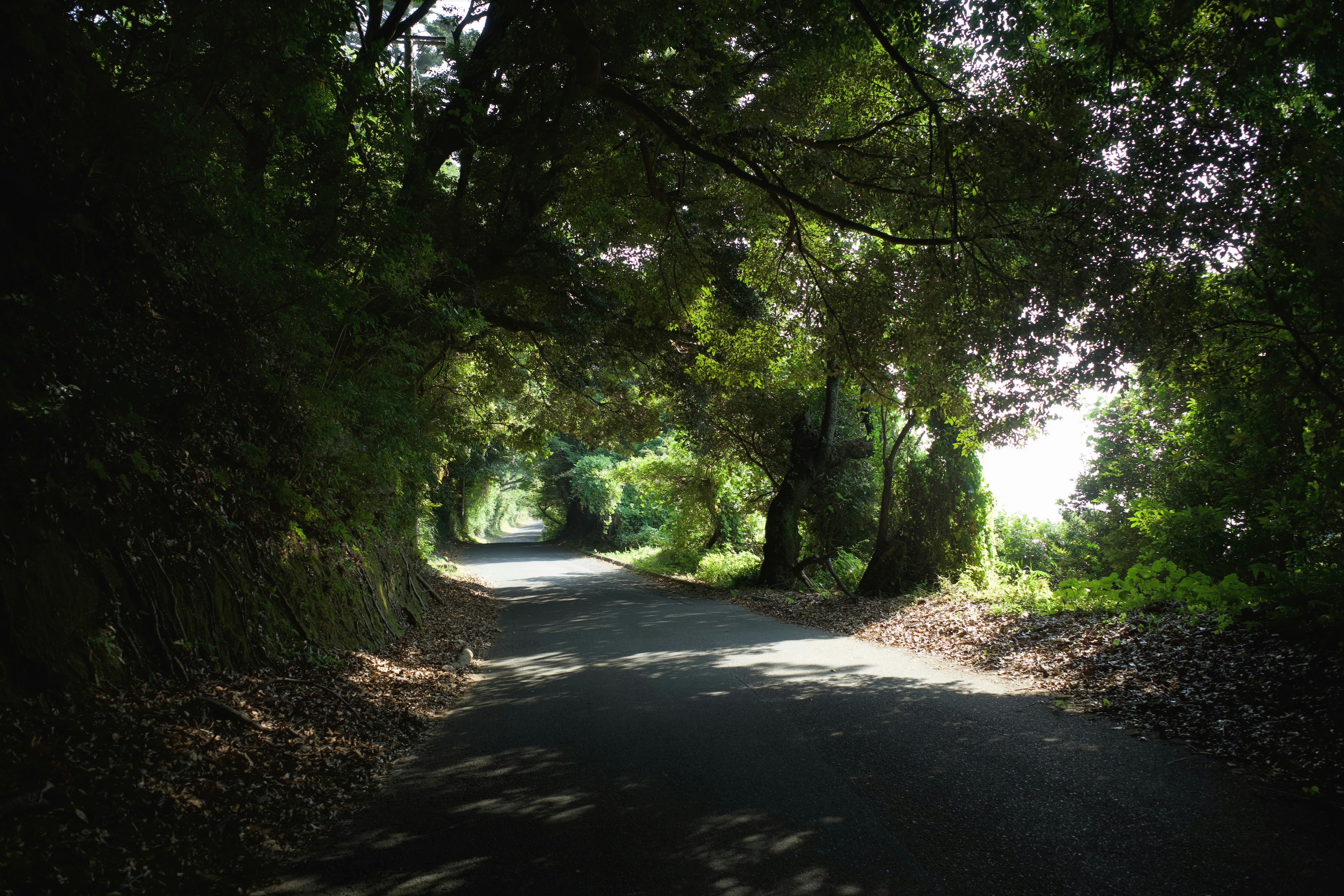 Photo by hotakasaito