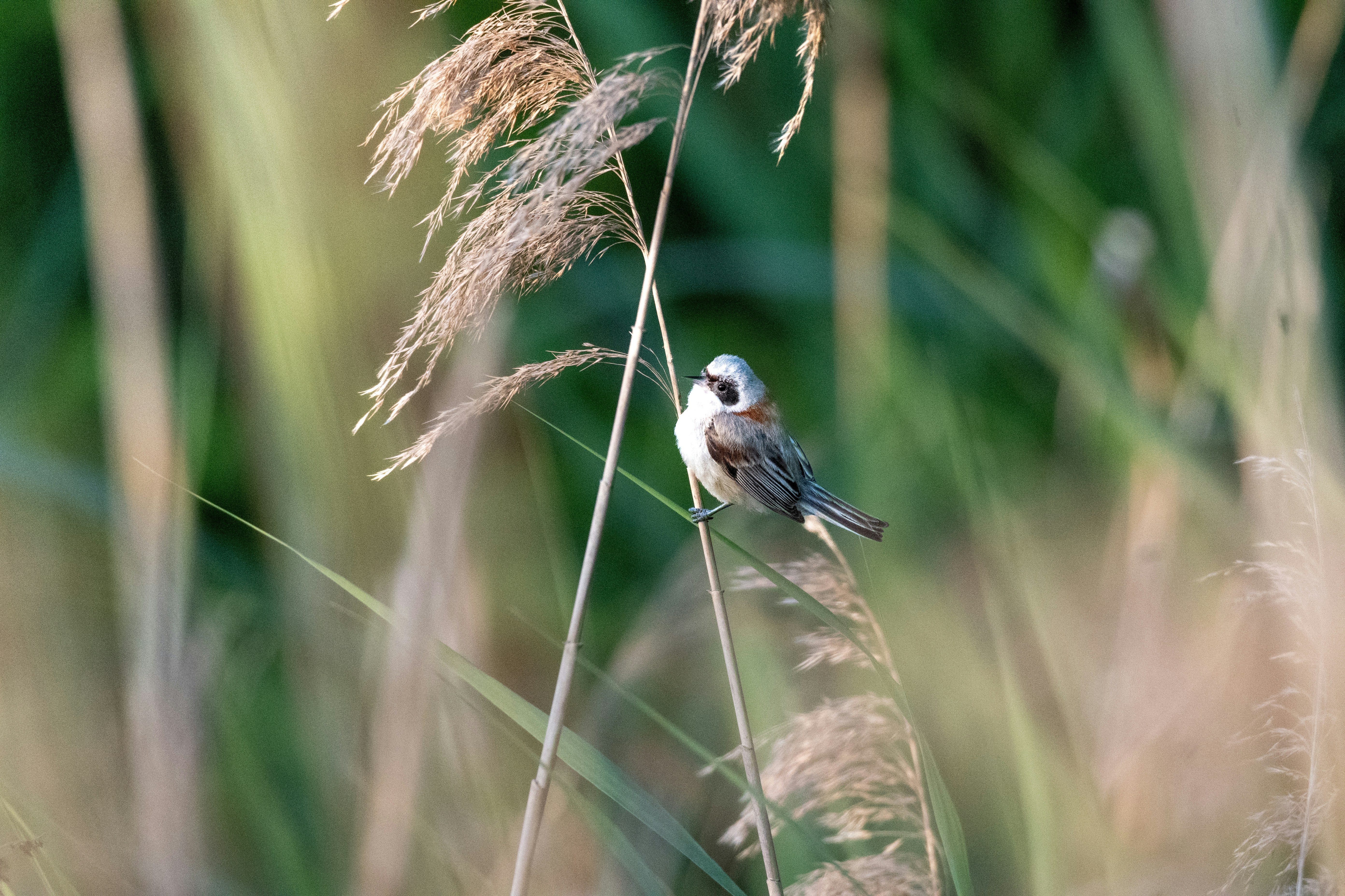 Photo by oj_wildframe