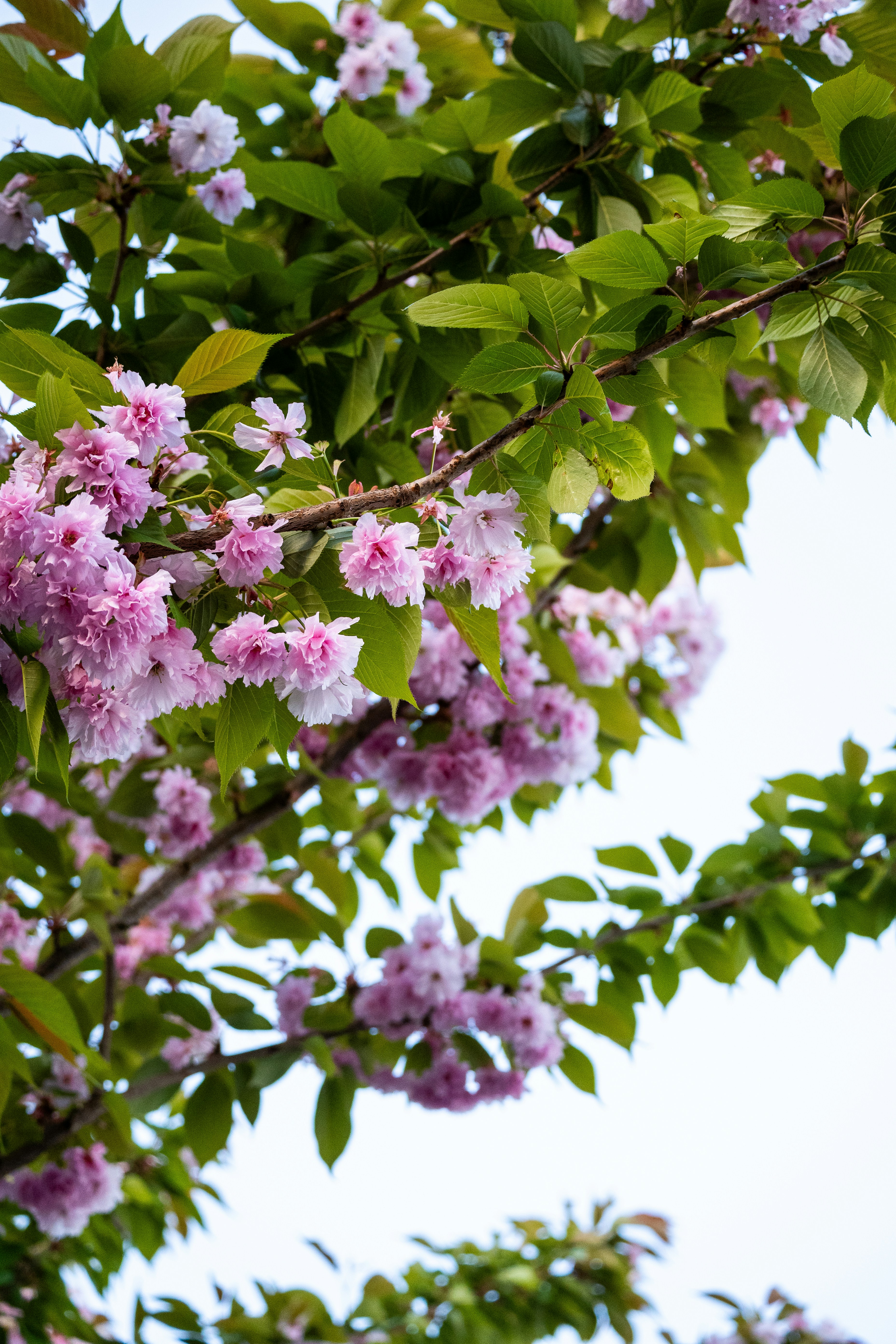 Photo by oj_wildframe