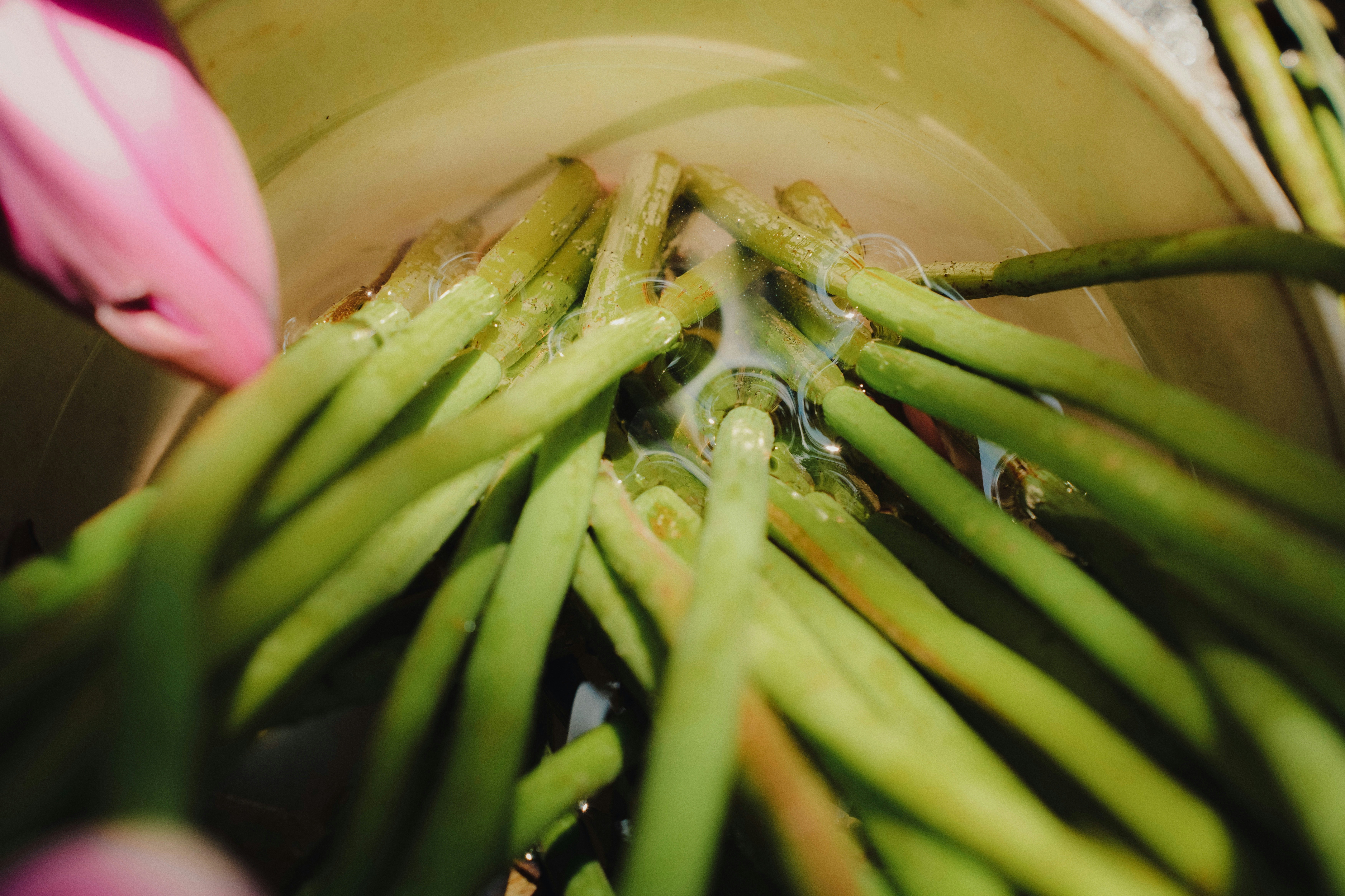 콩나물무침 맛있게 만드는 법 비린내 제거 이미지2