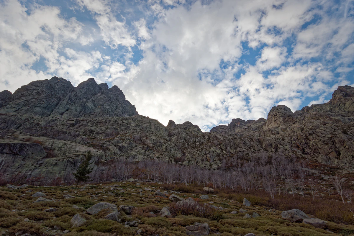 A jagged rocky ridge above bare trees and rocky ground in the Restonica valley