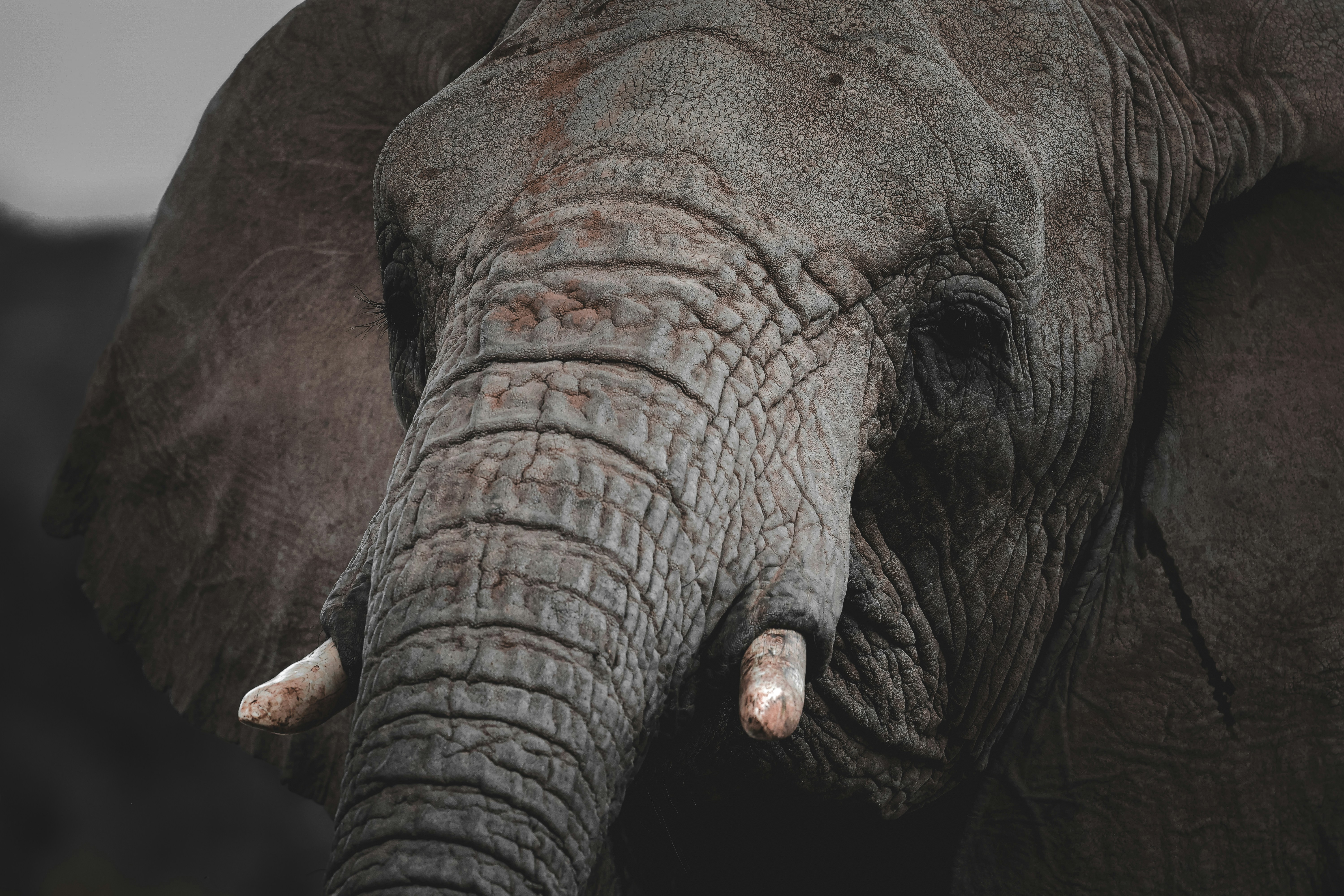 Photo by amandaswanepoel