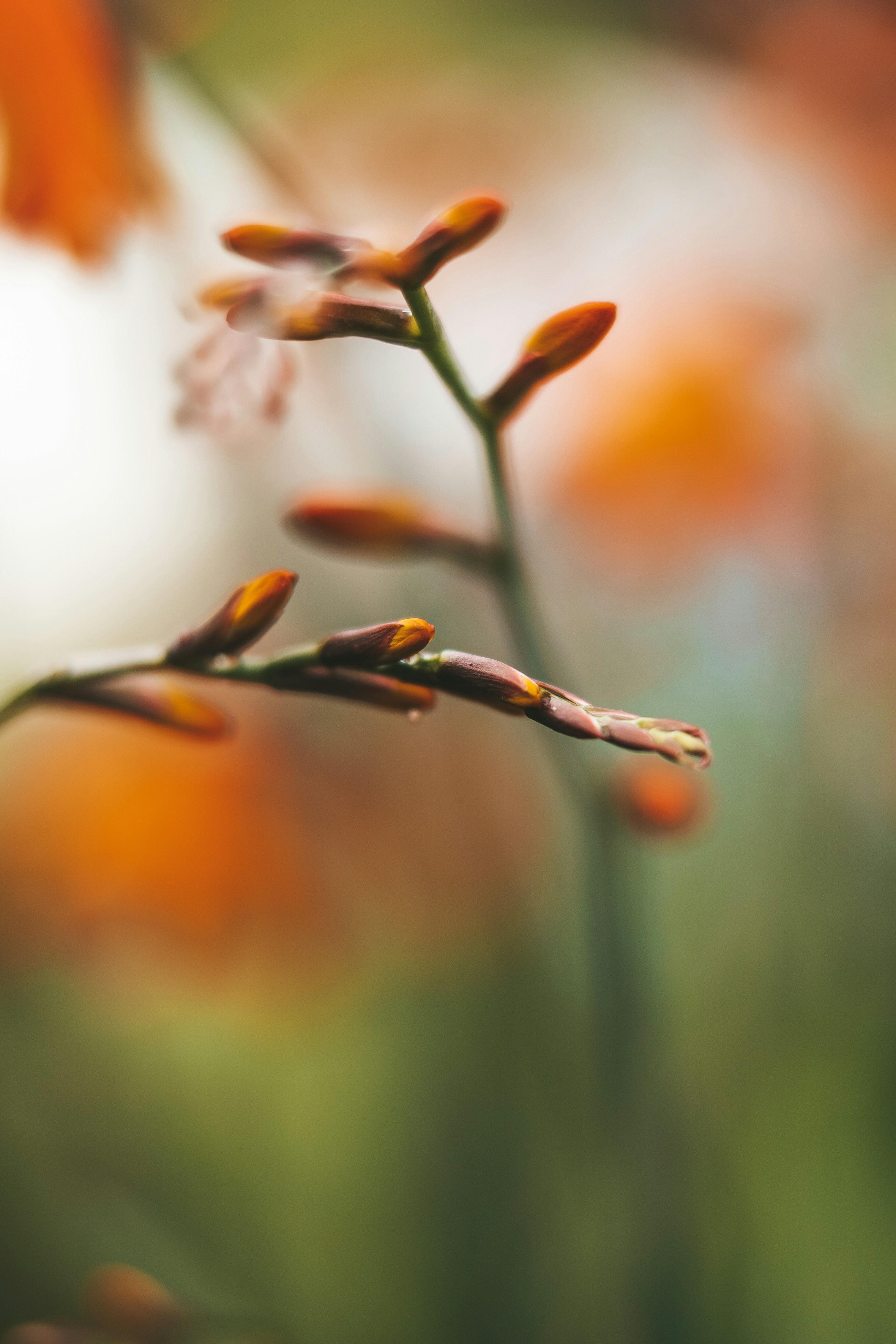 Photo by anamnesis33