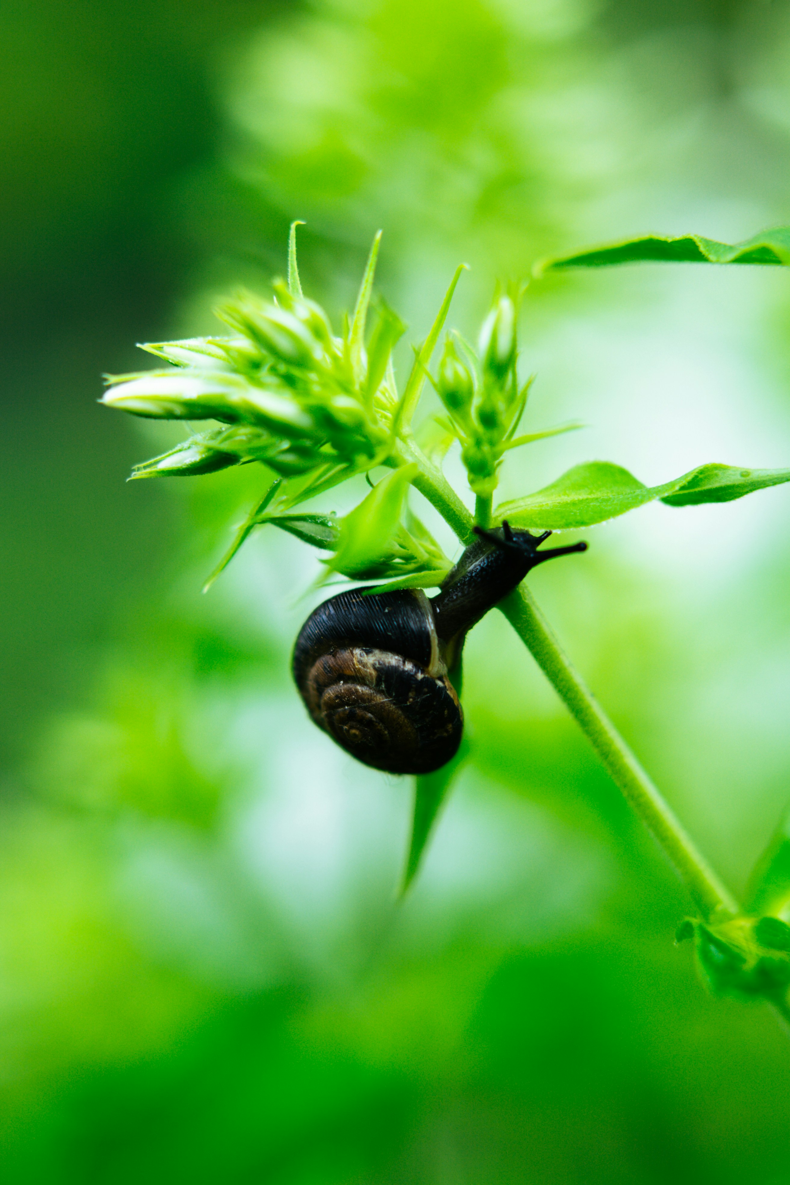 Photo by anamnesis33