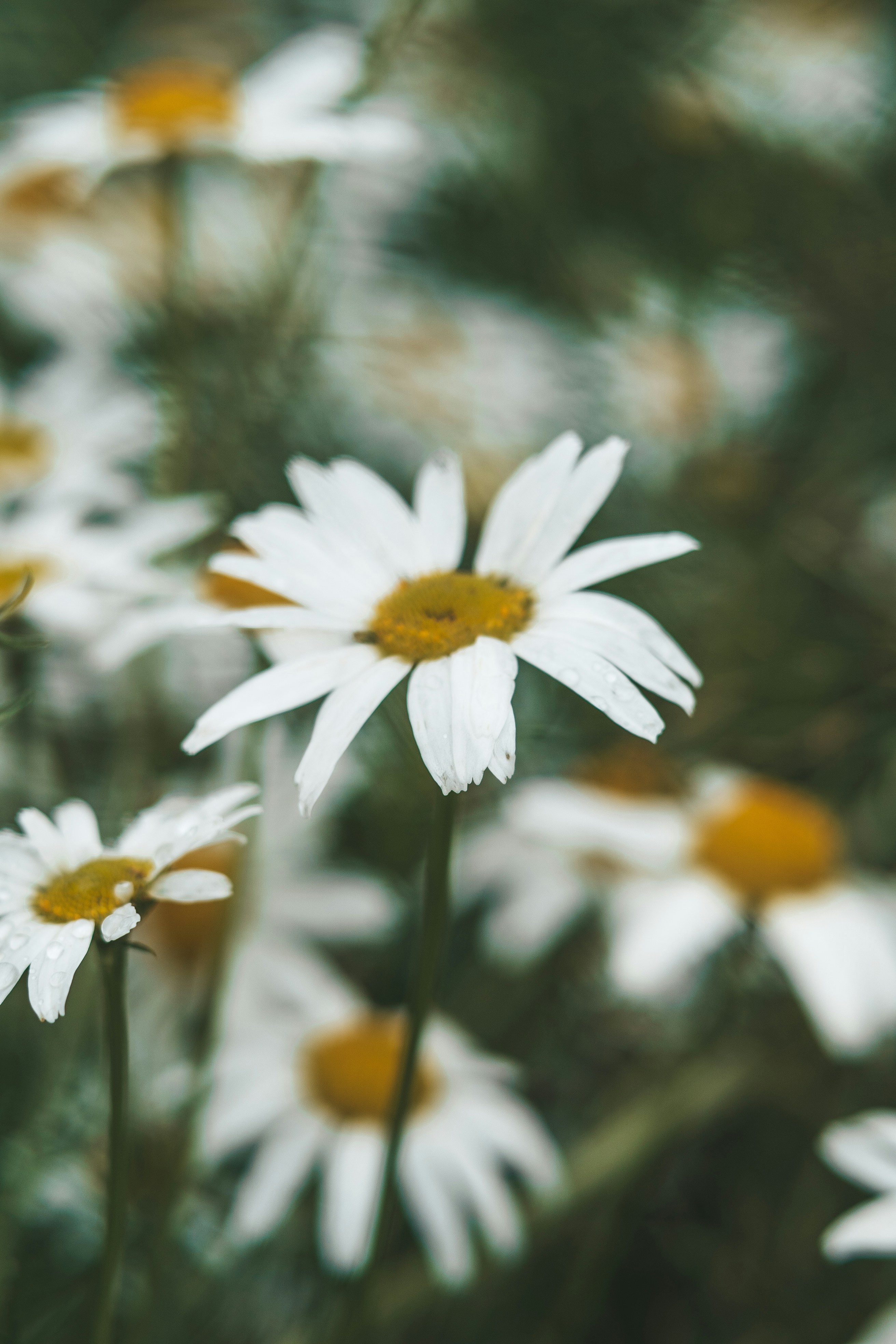 Photo by anamnesis33