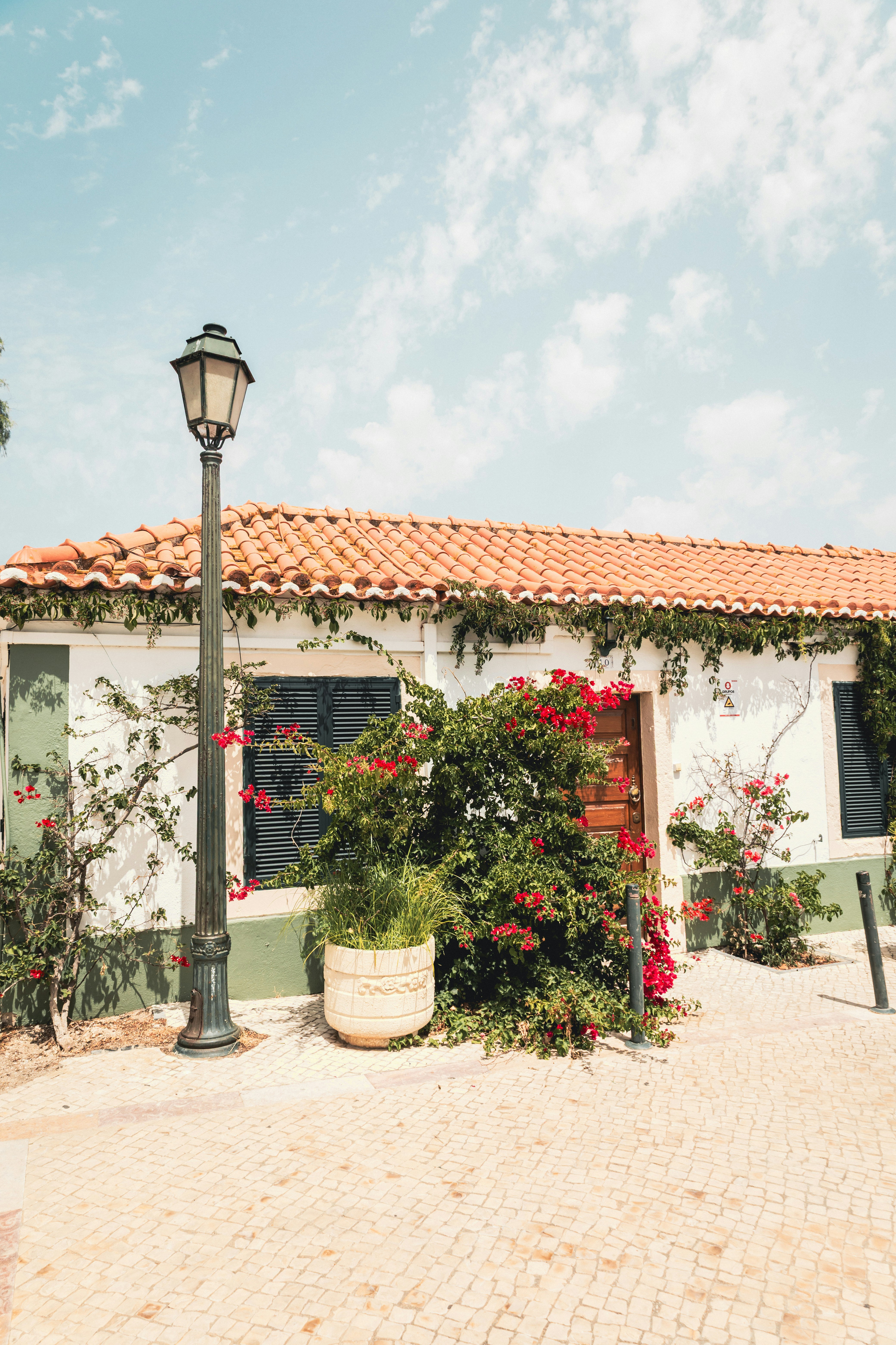 Photo by bypietracruz