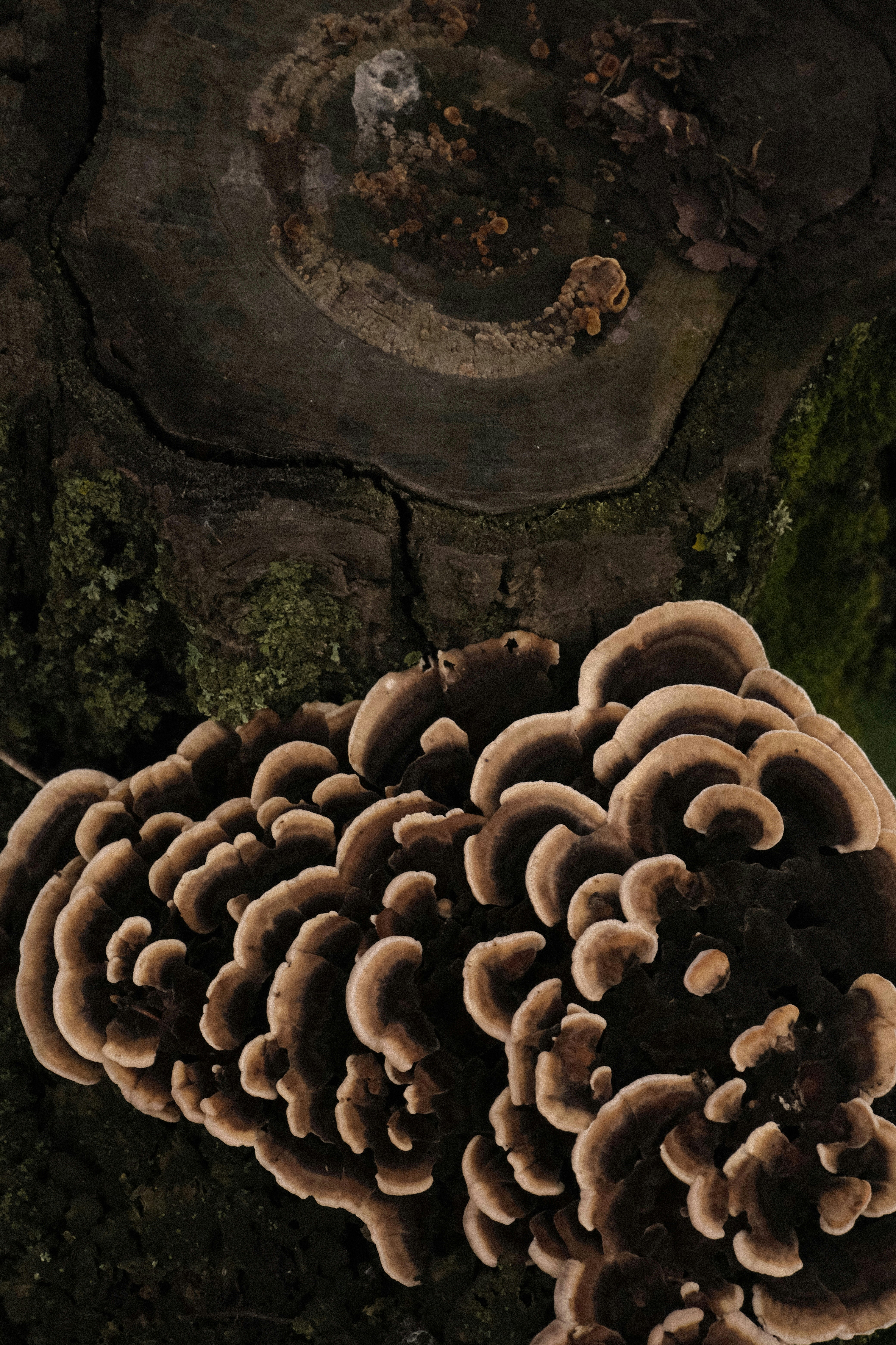 Photo by tatianarudneva