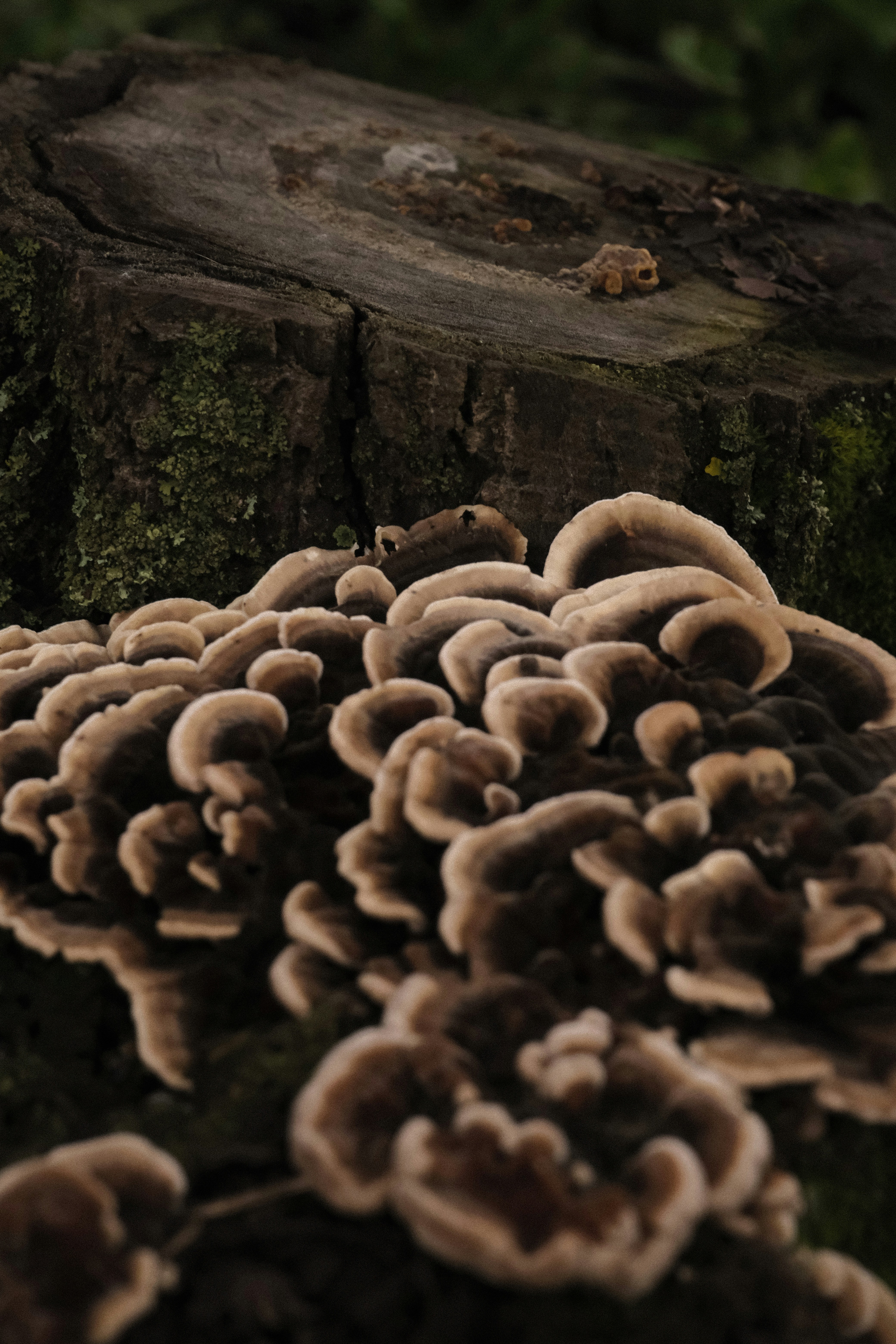 Photo by tatianarudneva