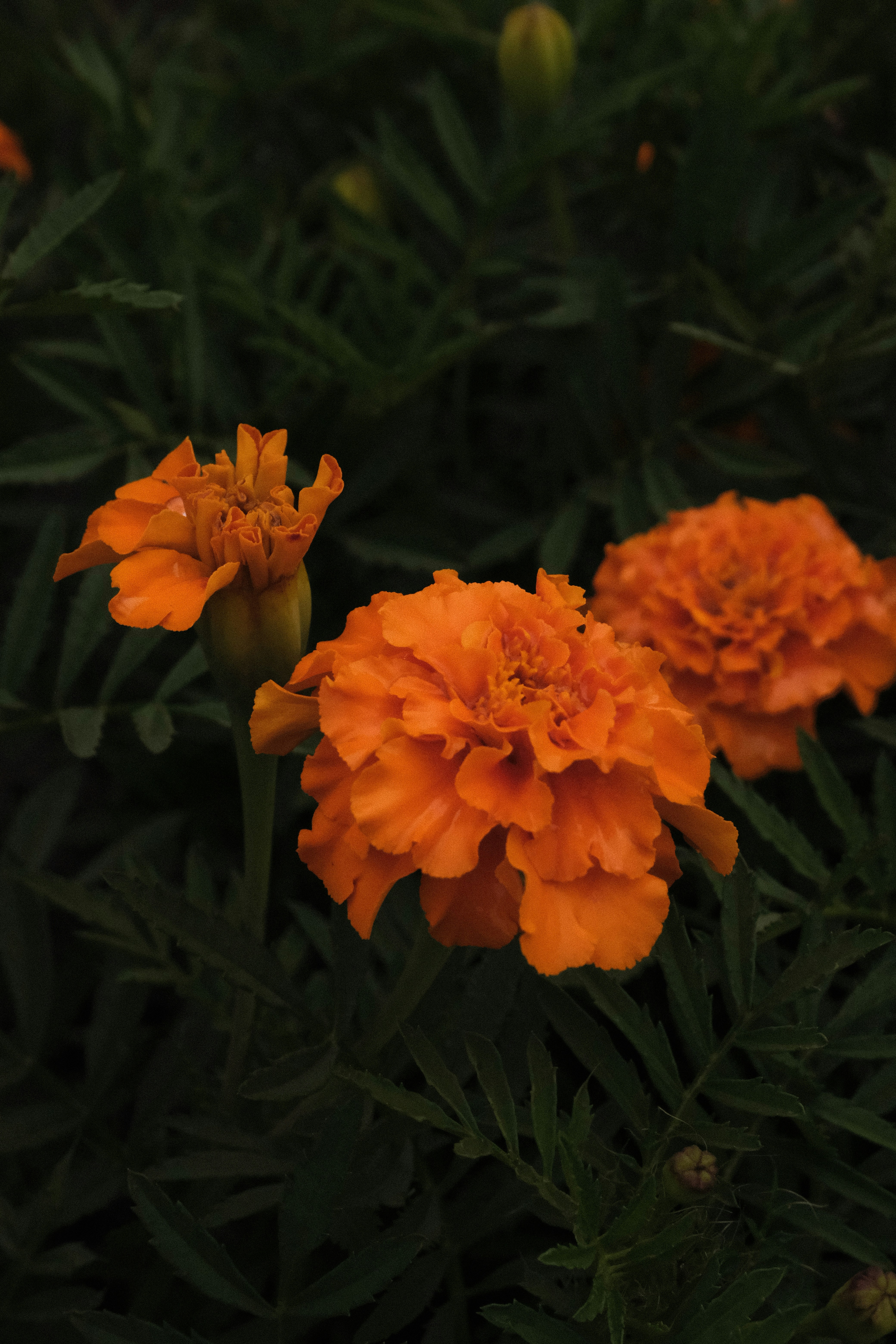 Photo by tatianarudneva