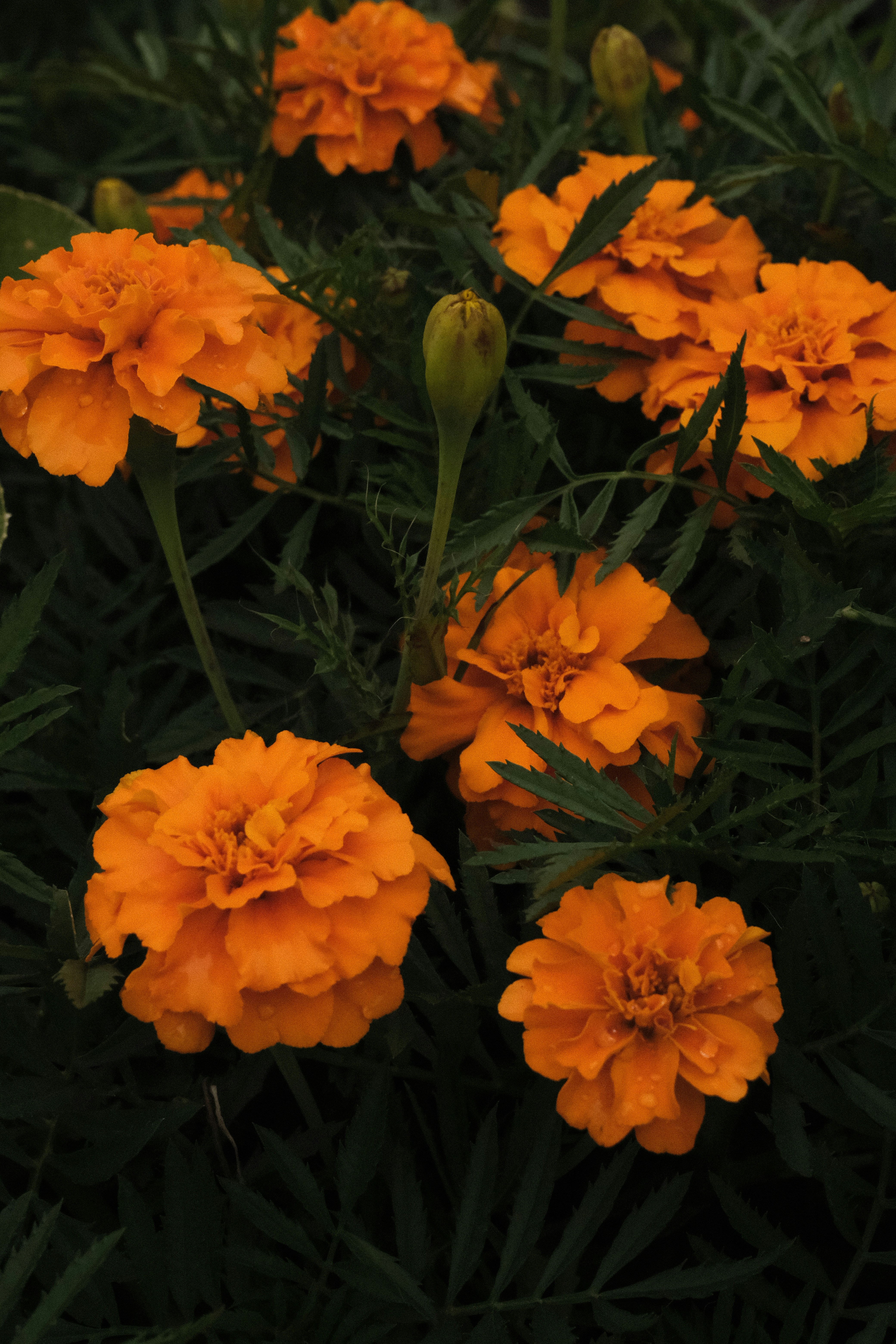 Photo by tatianarudneva