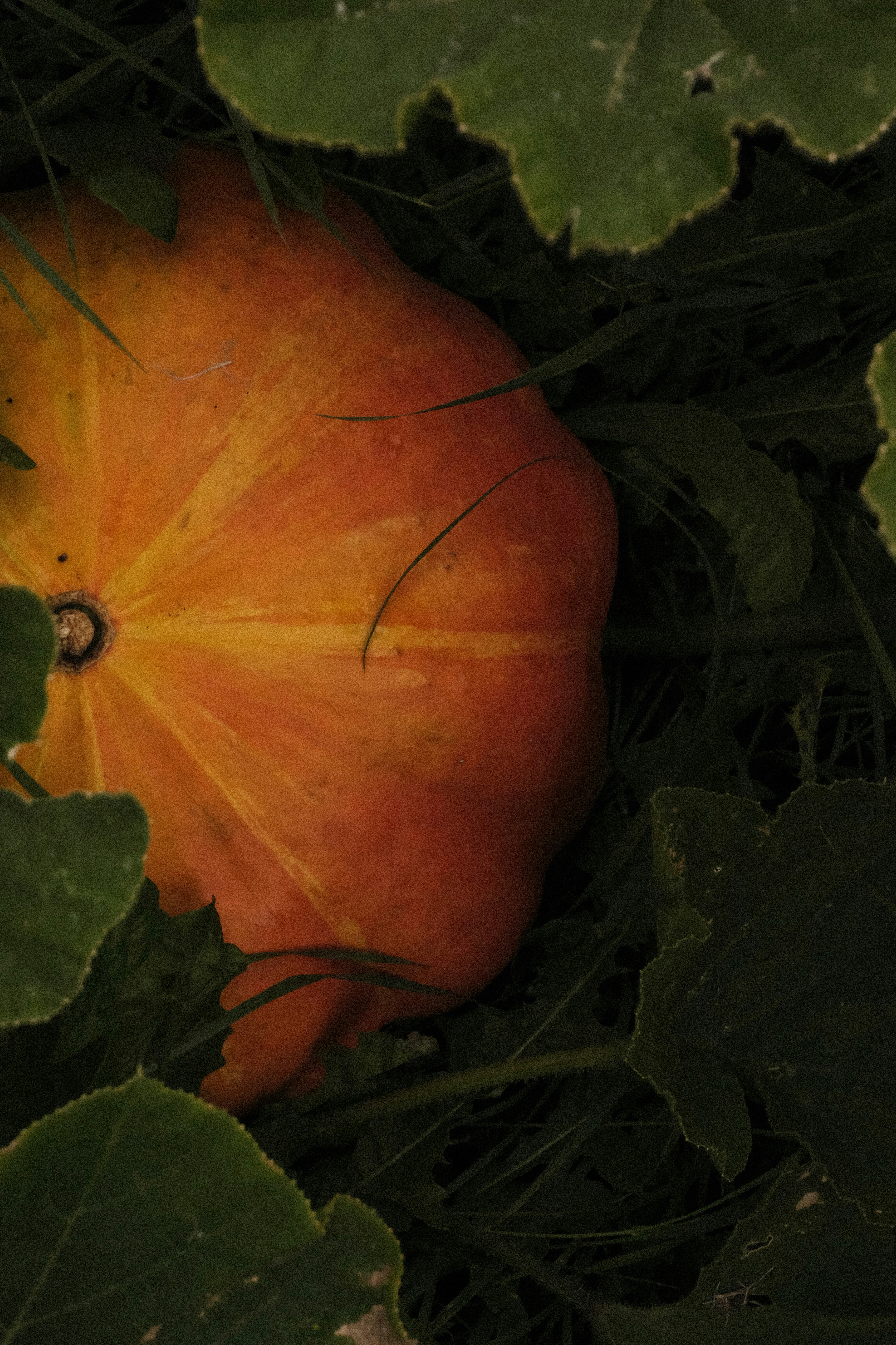 Photo by tatianarudneva