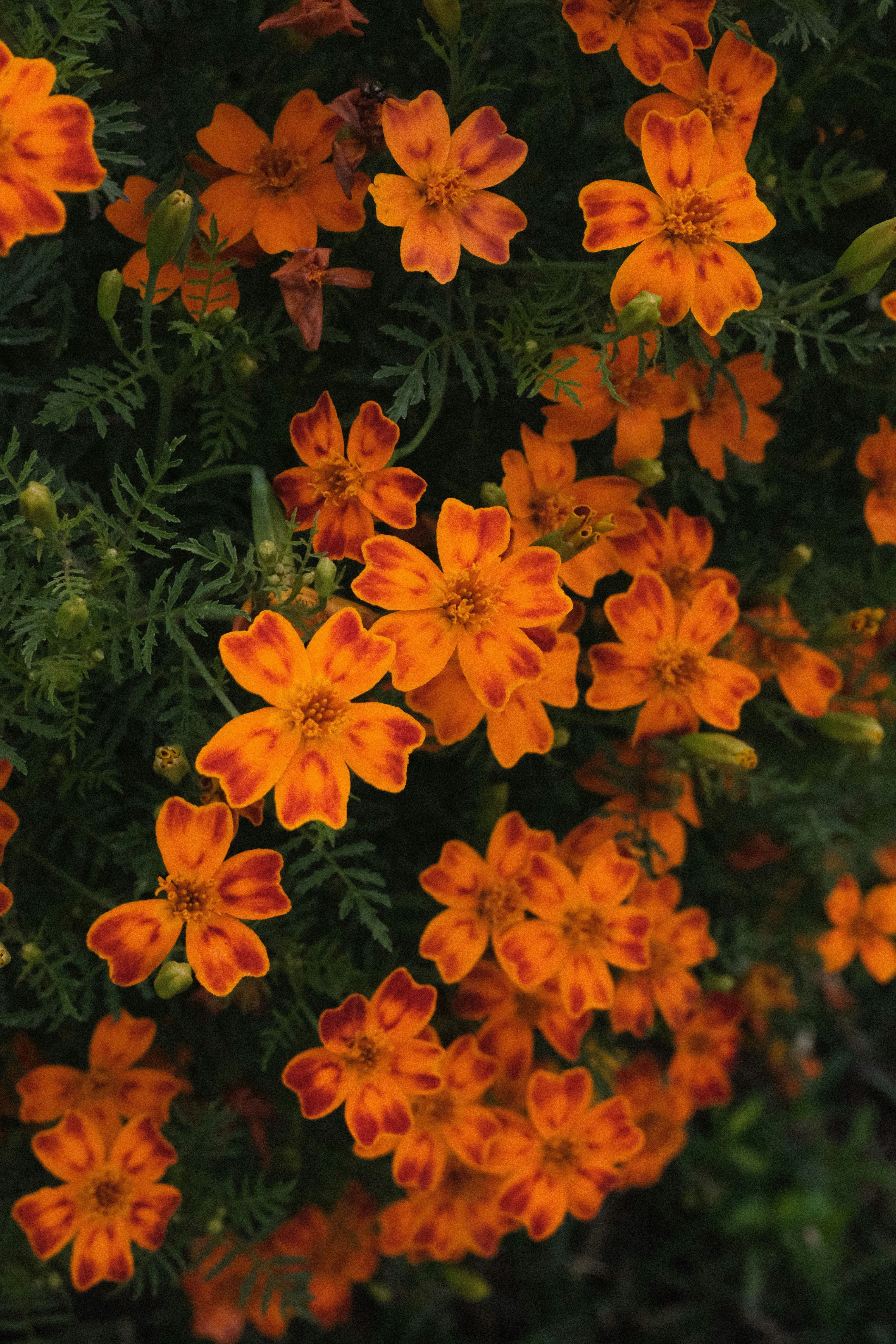 Photo by tatianarudneva