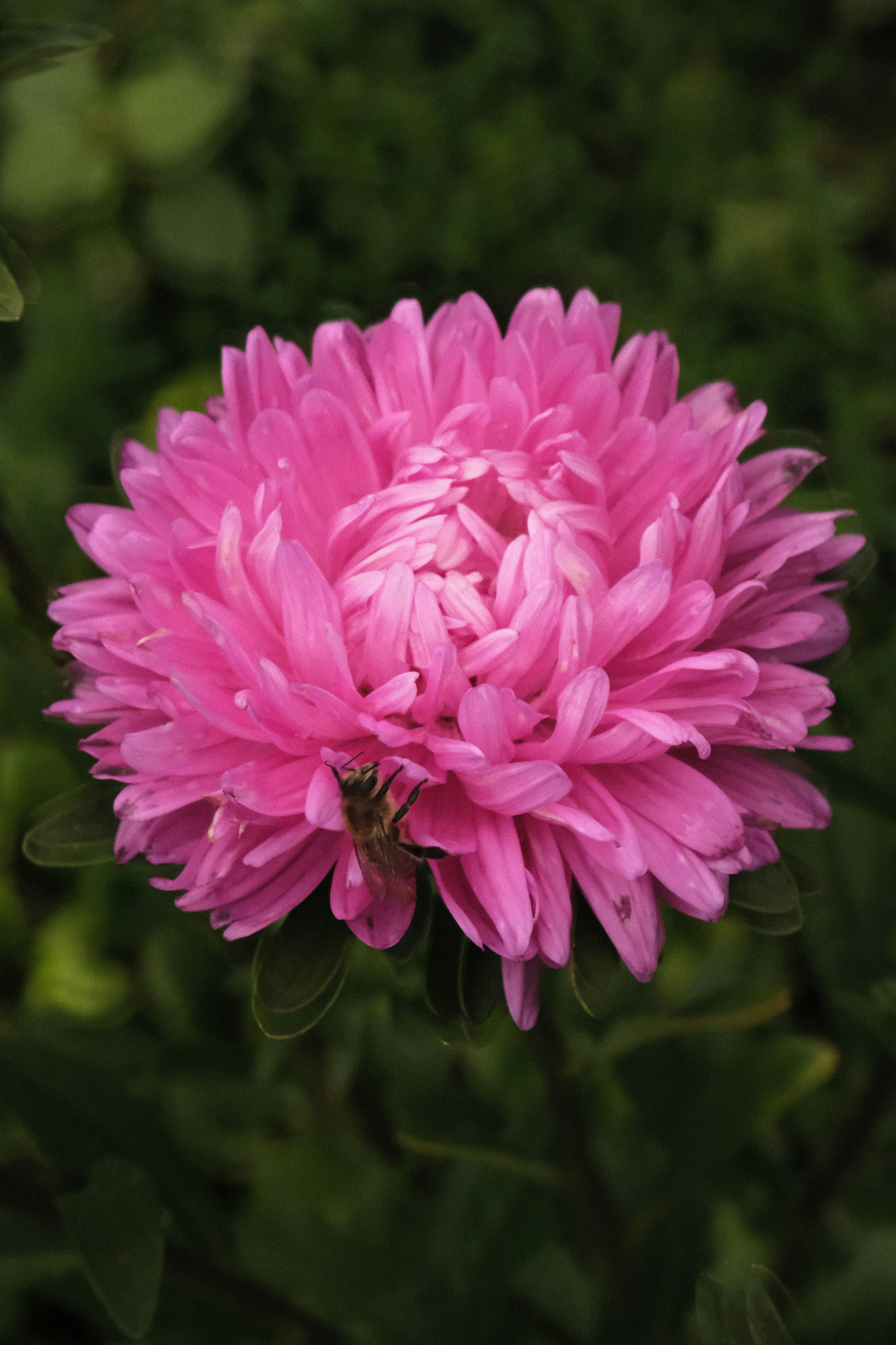 Photo by tatianarudneva