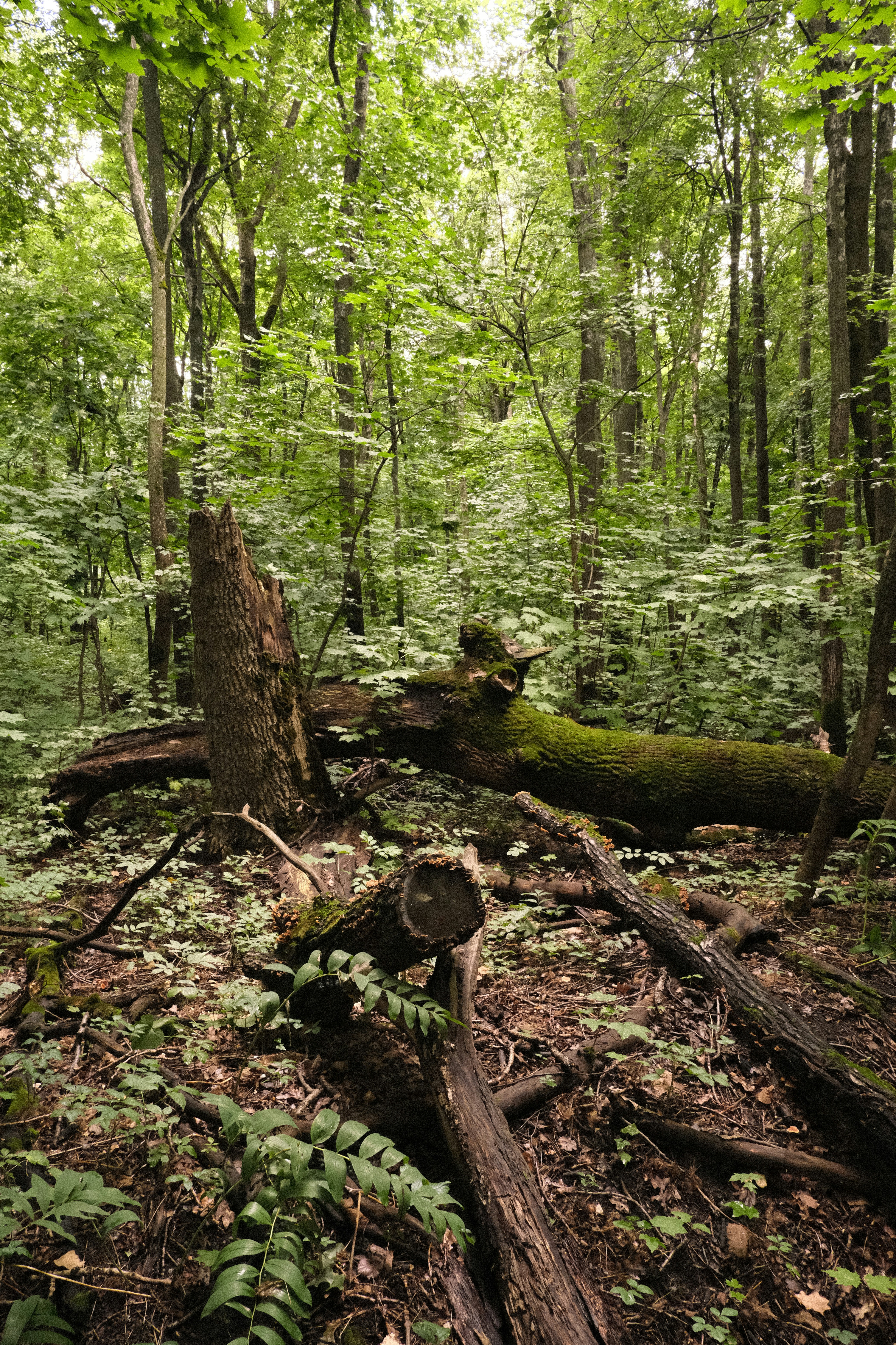 Photo by tatianarudneva