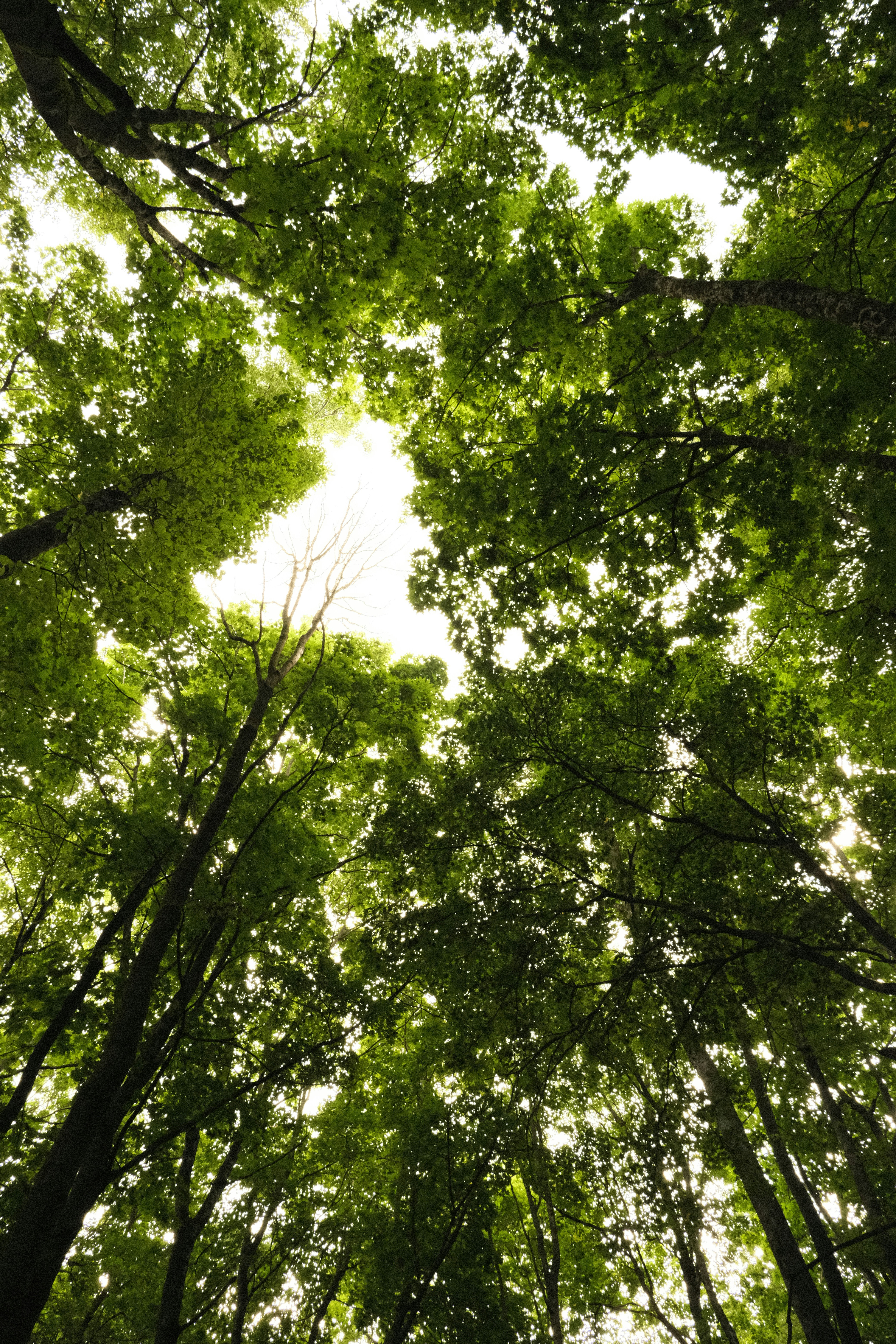 Photo by tatianarudneva