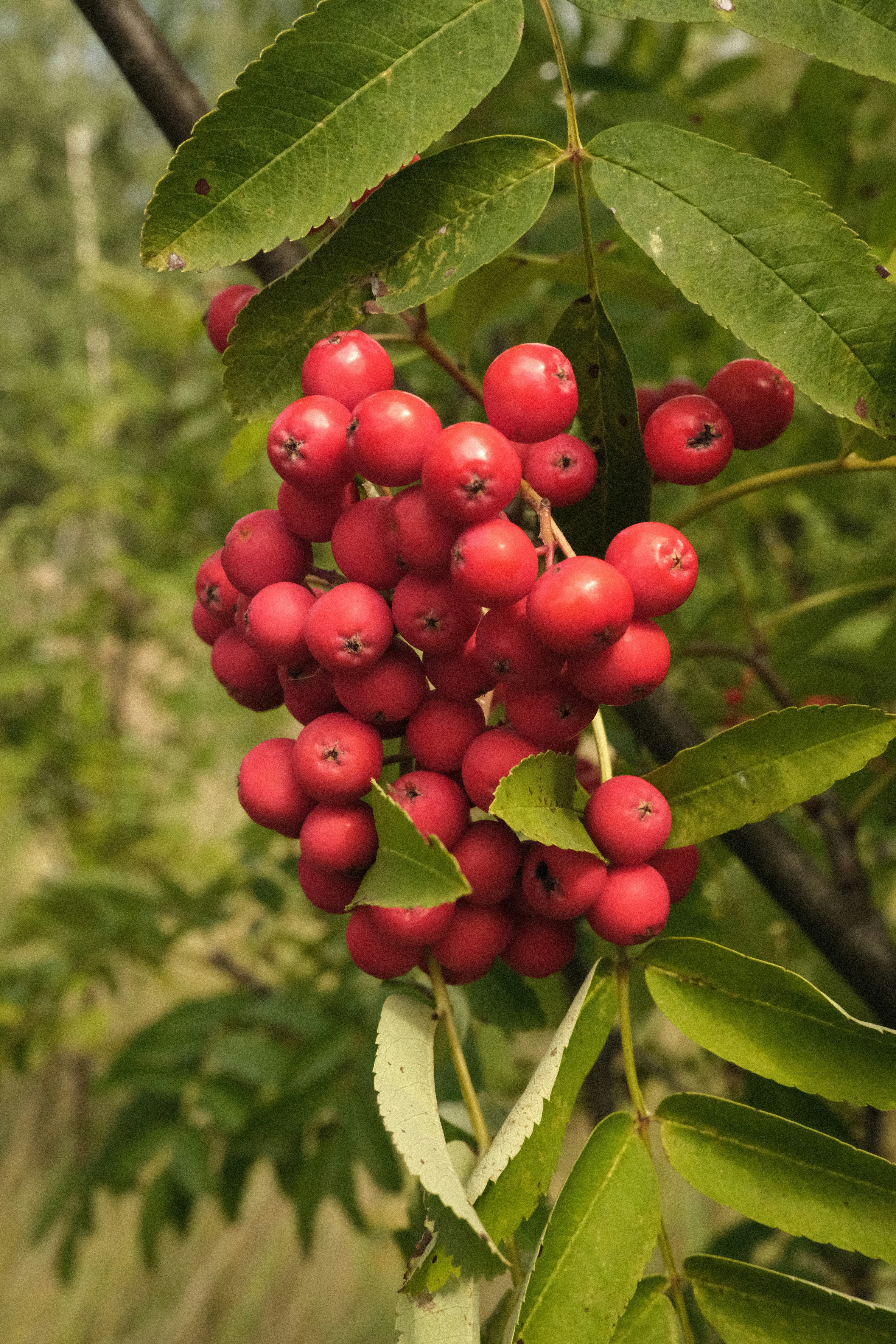 Photo by tatianarudneva