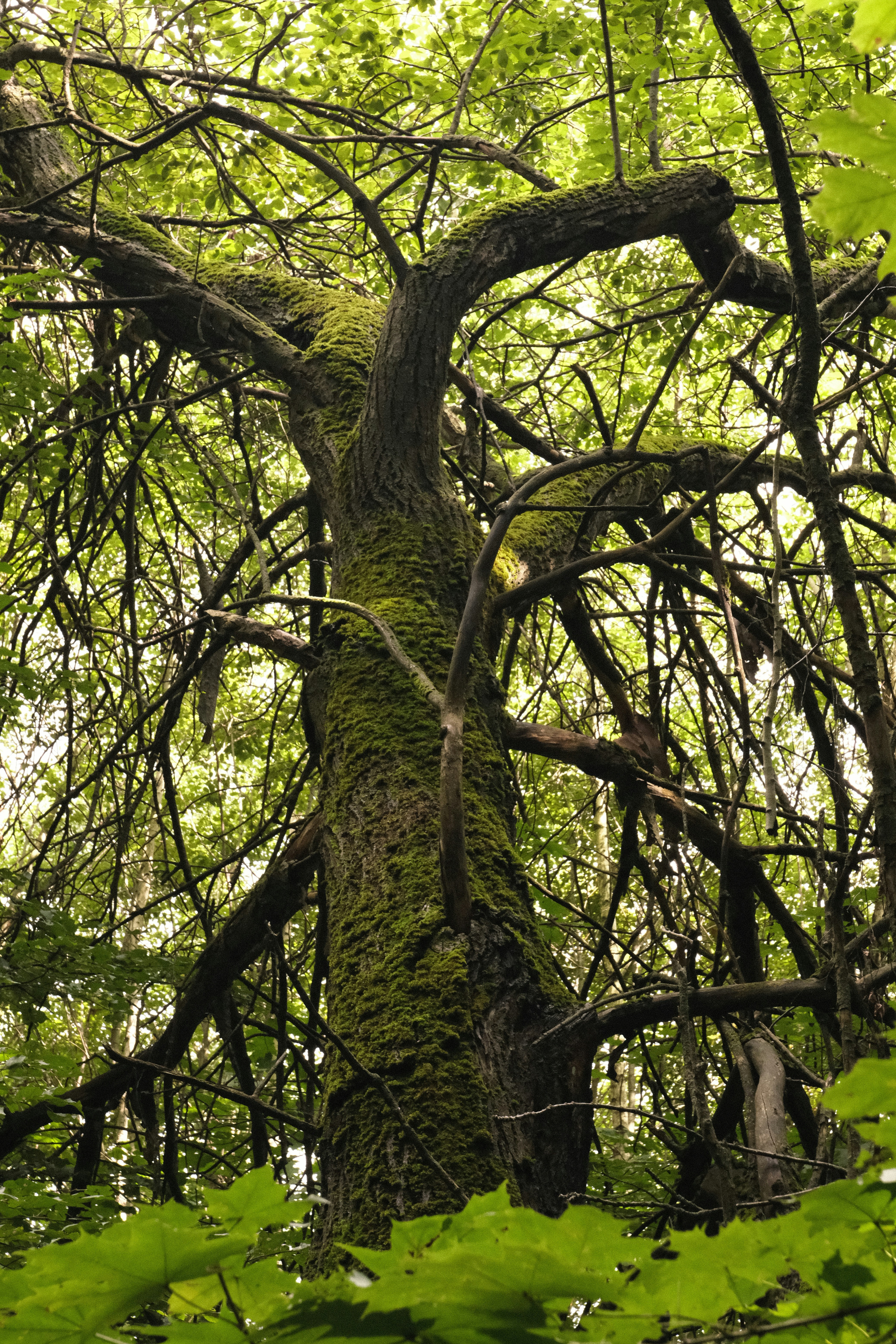 Photo by tatianarudneva