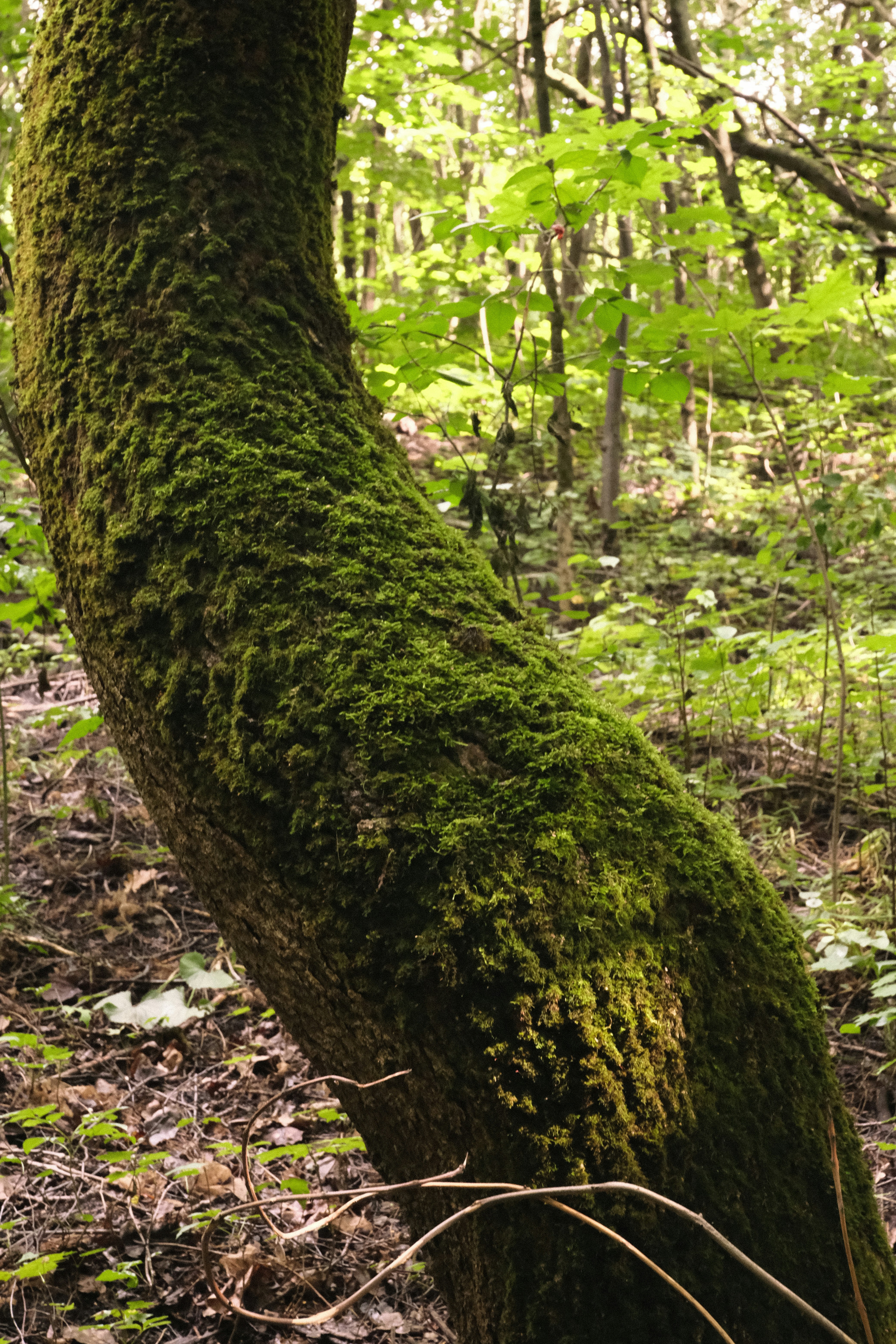 Photo by tatianarudneva