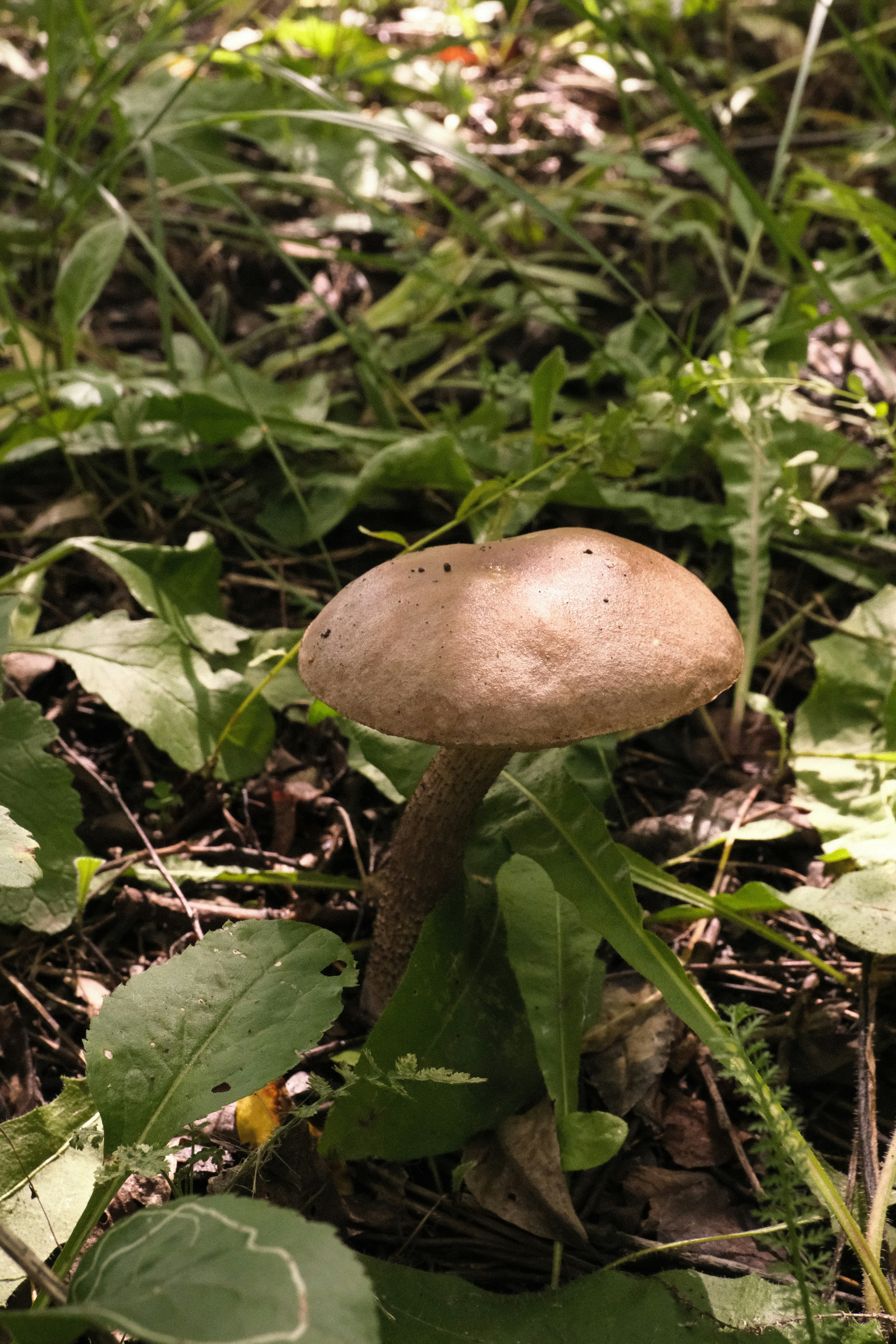 Photo by tatianarudneva