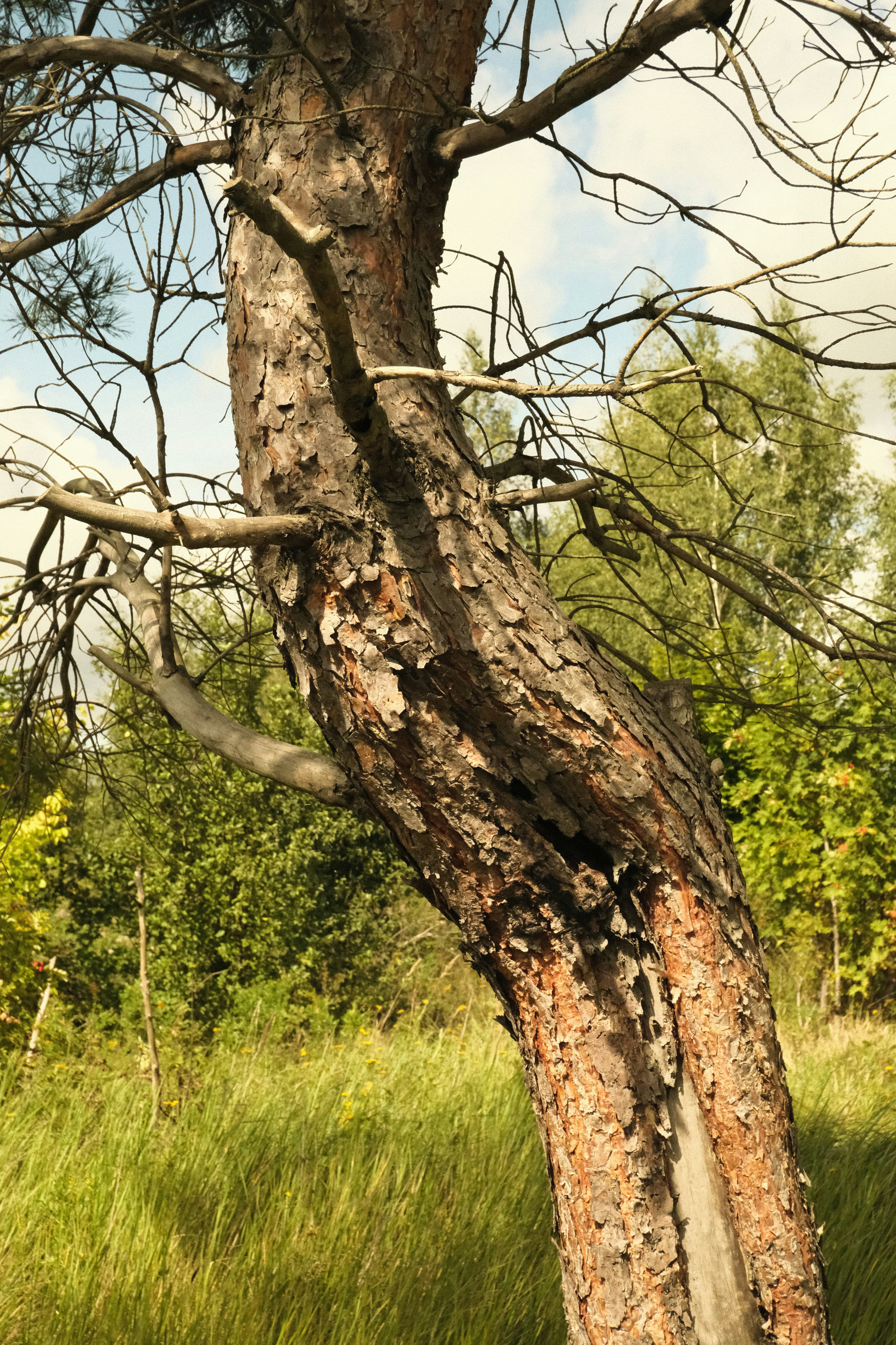 Photo by tatianarudneva