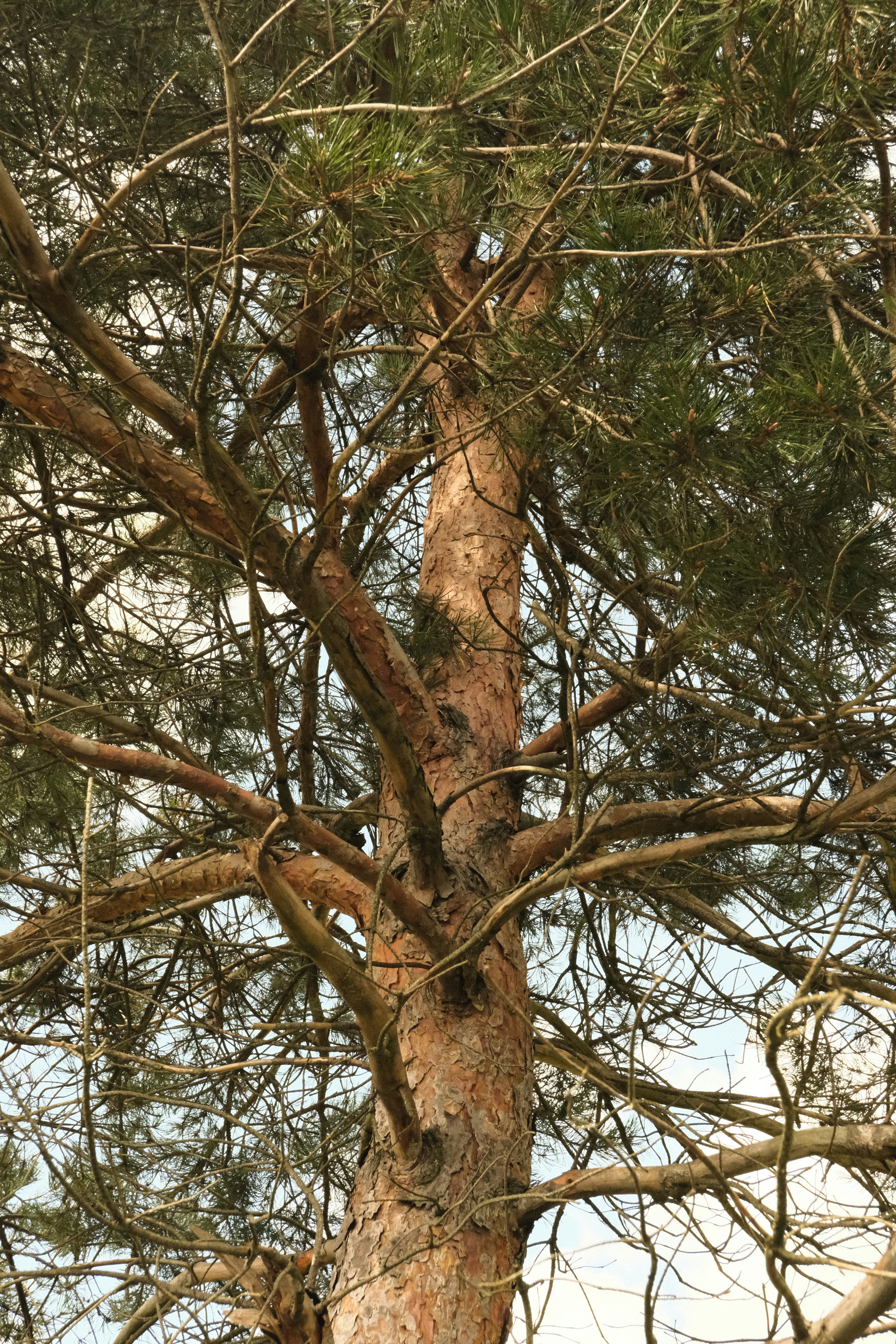 Photo by tatianarudneva