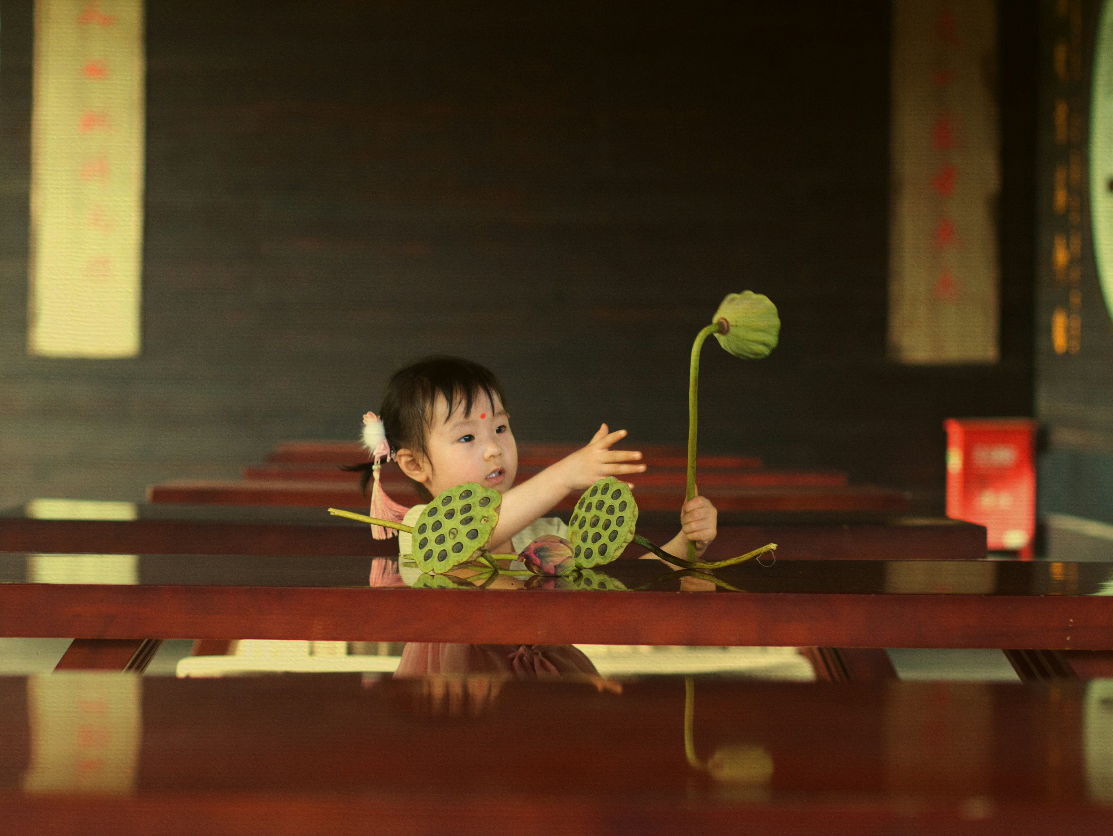 Baby reaching for a lotus seed pod. photo – Free Flower Image on Unsplash