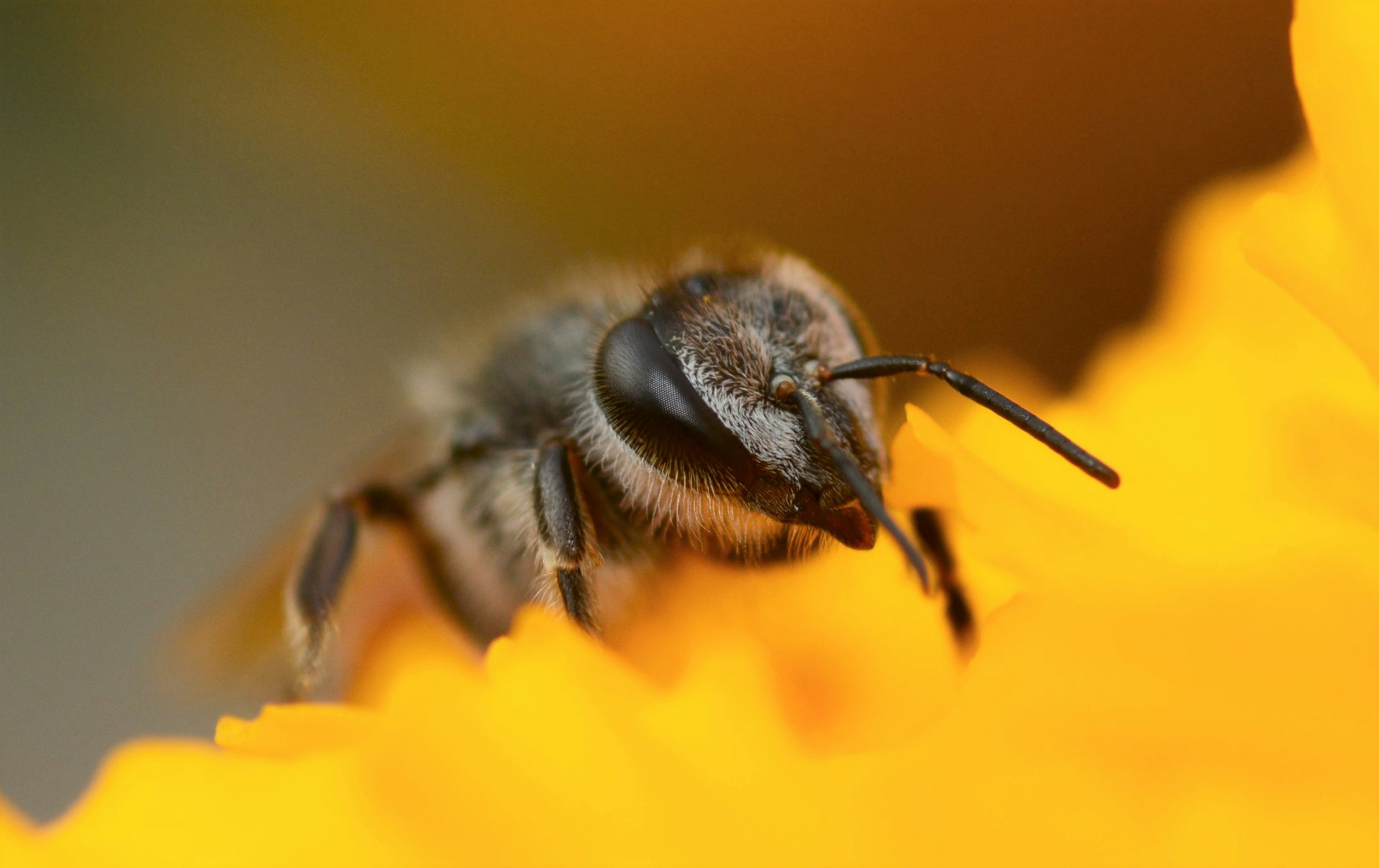 Photo by asphotographypics