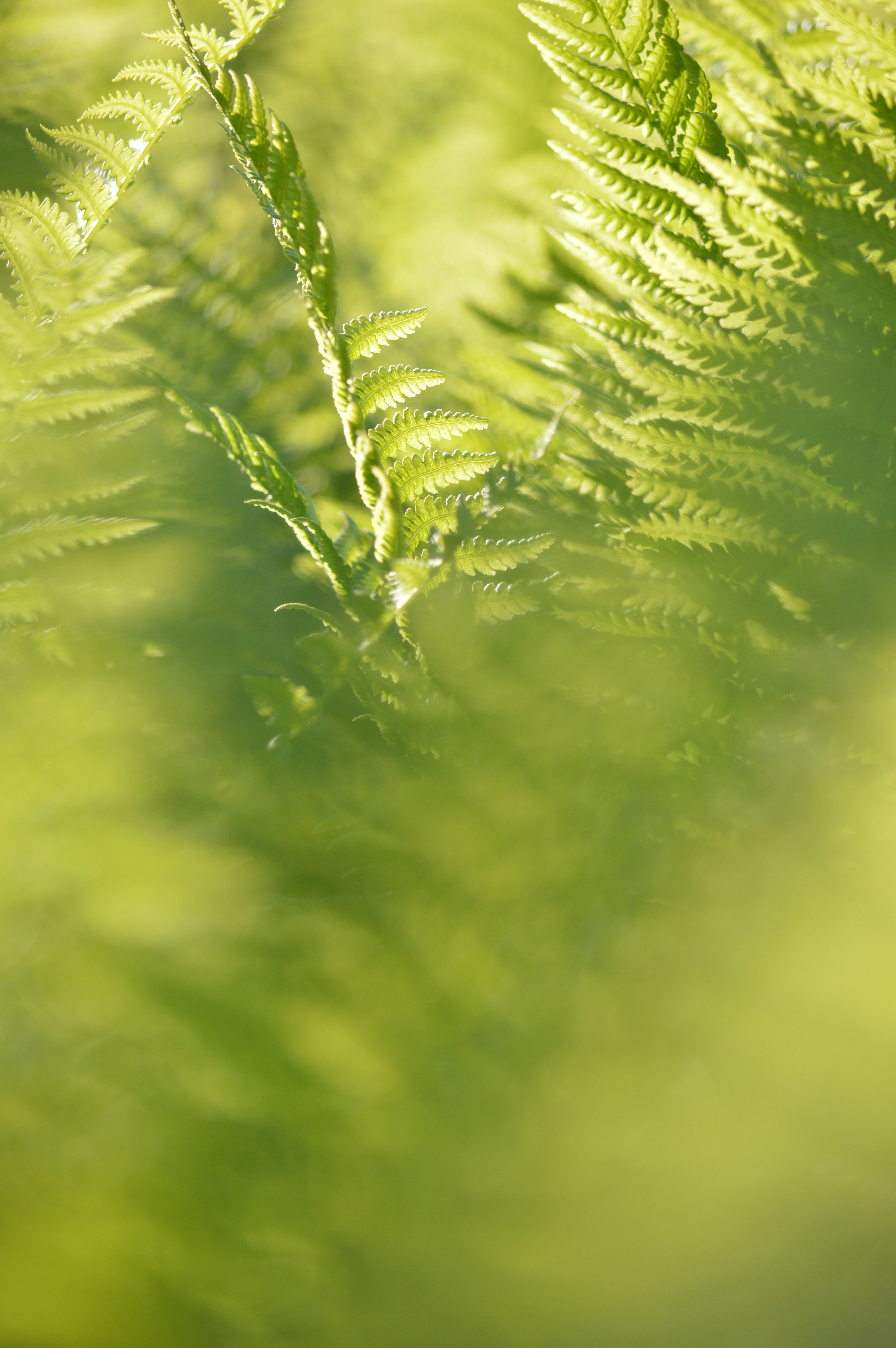 Photo by jennifer_maier_art