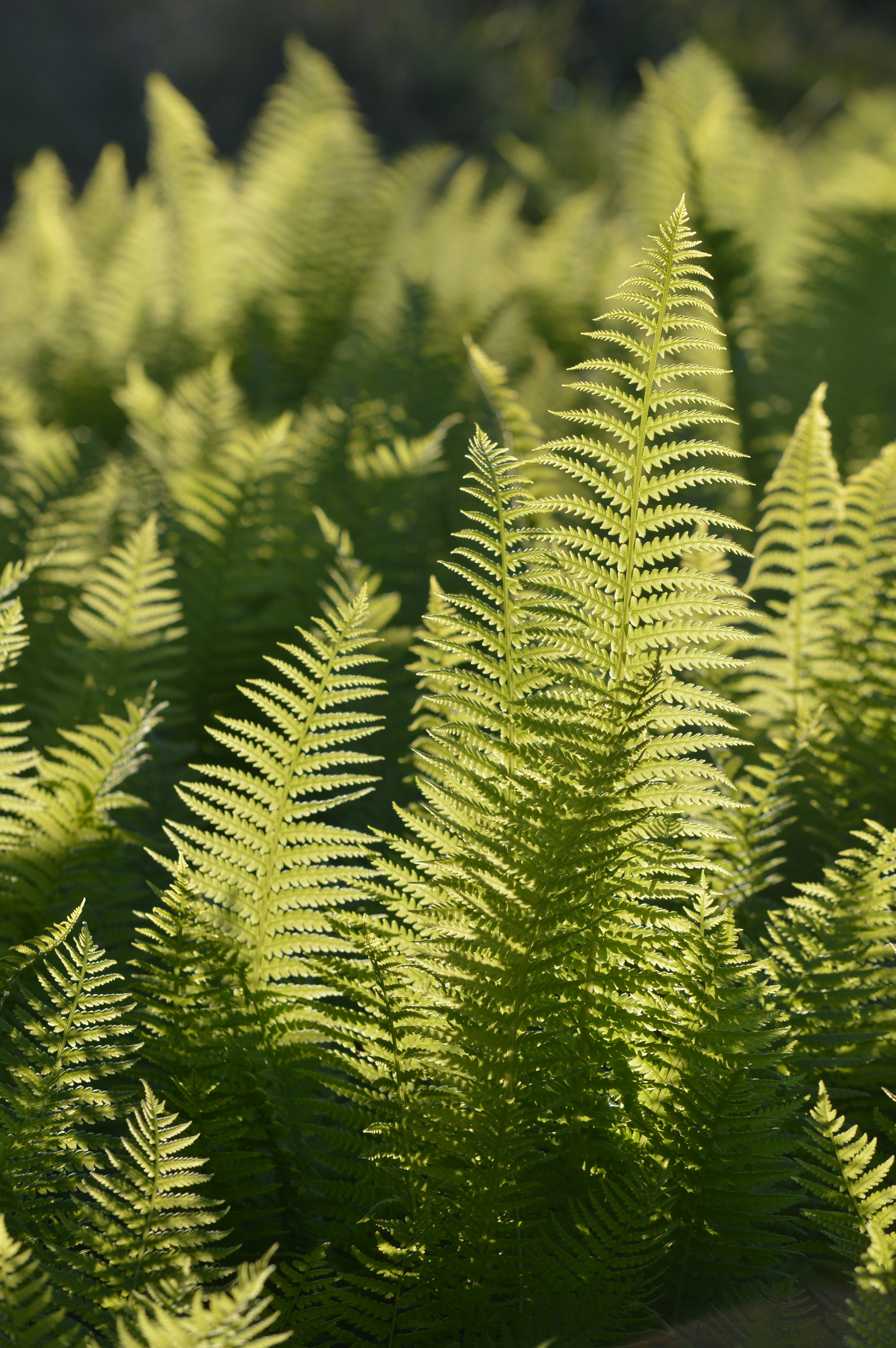 Photo by jennifer_maier_art