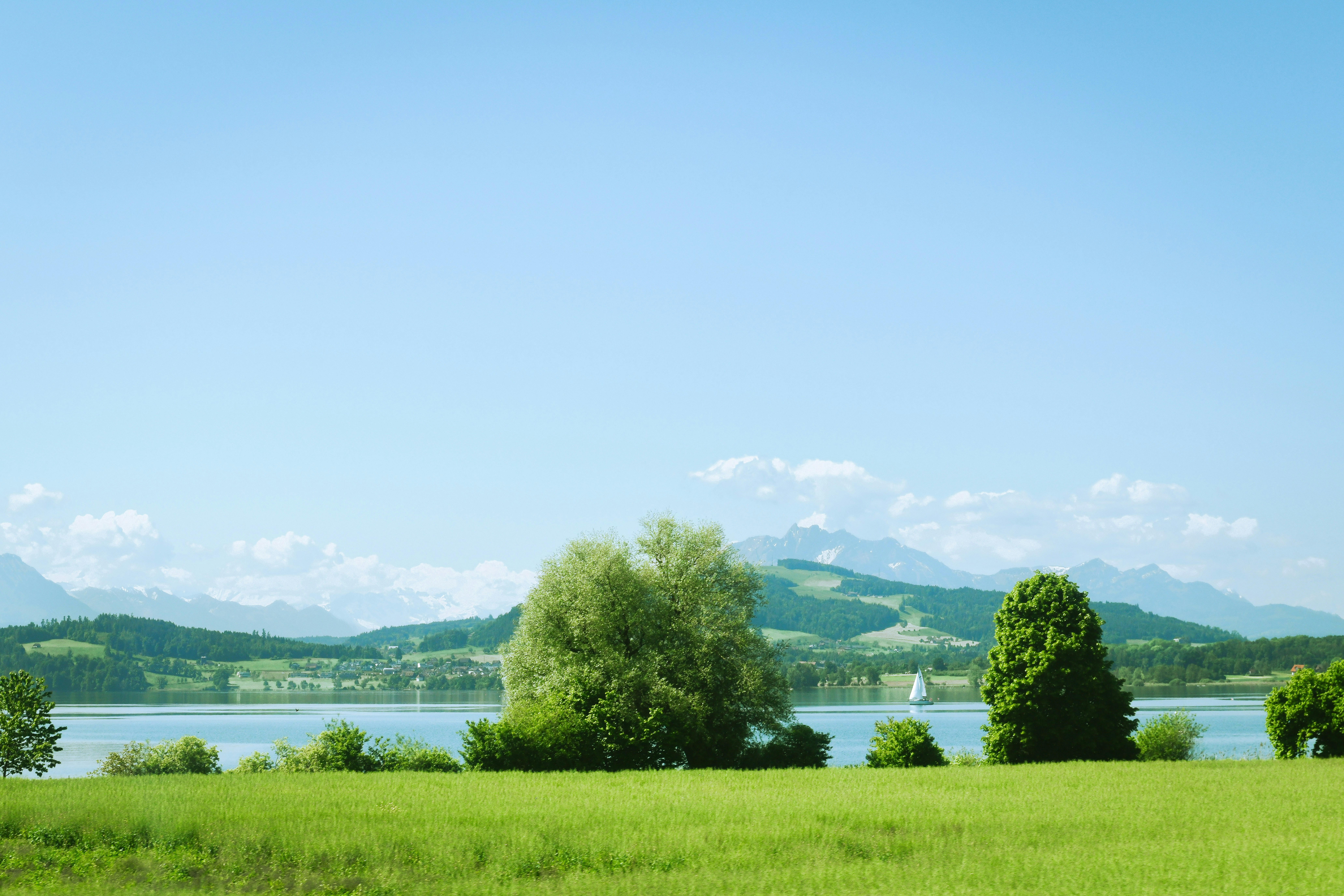 Photo by sriniunsplash