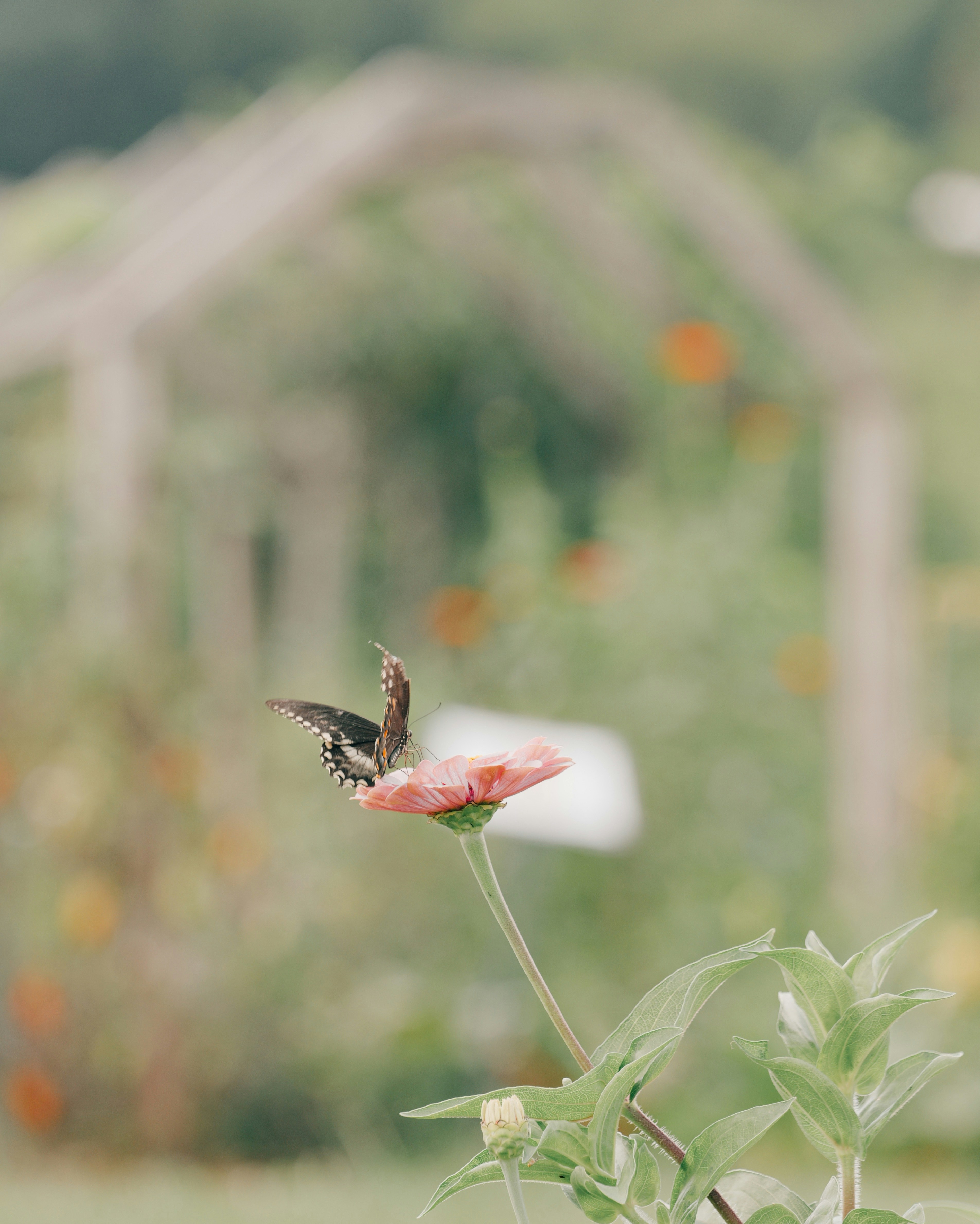 Photo by aaronburden