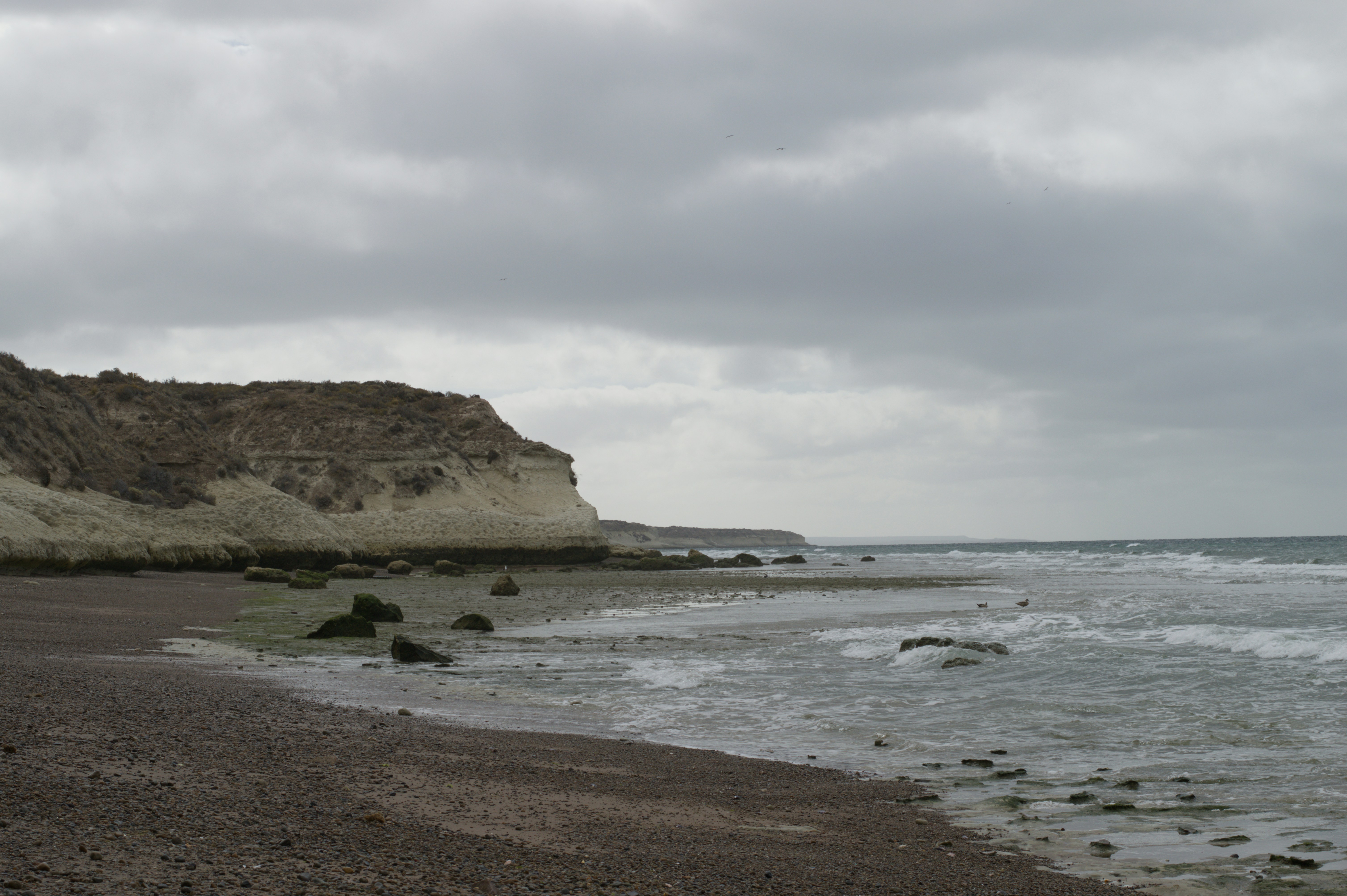 Photo by mantovanil