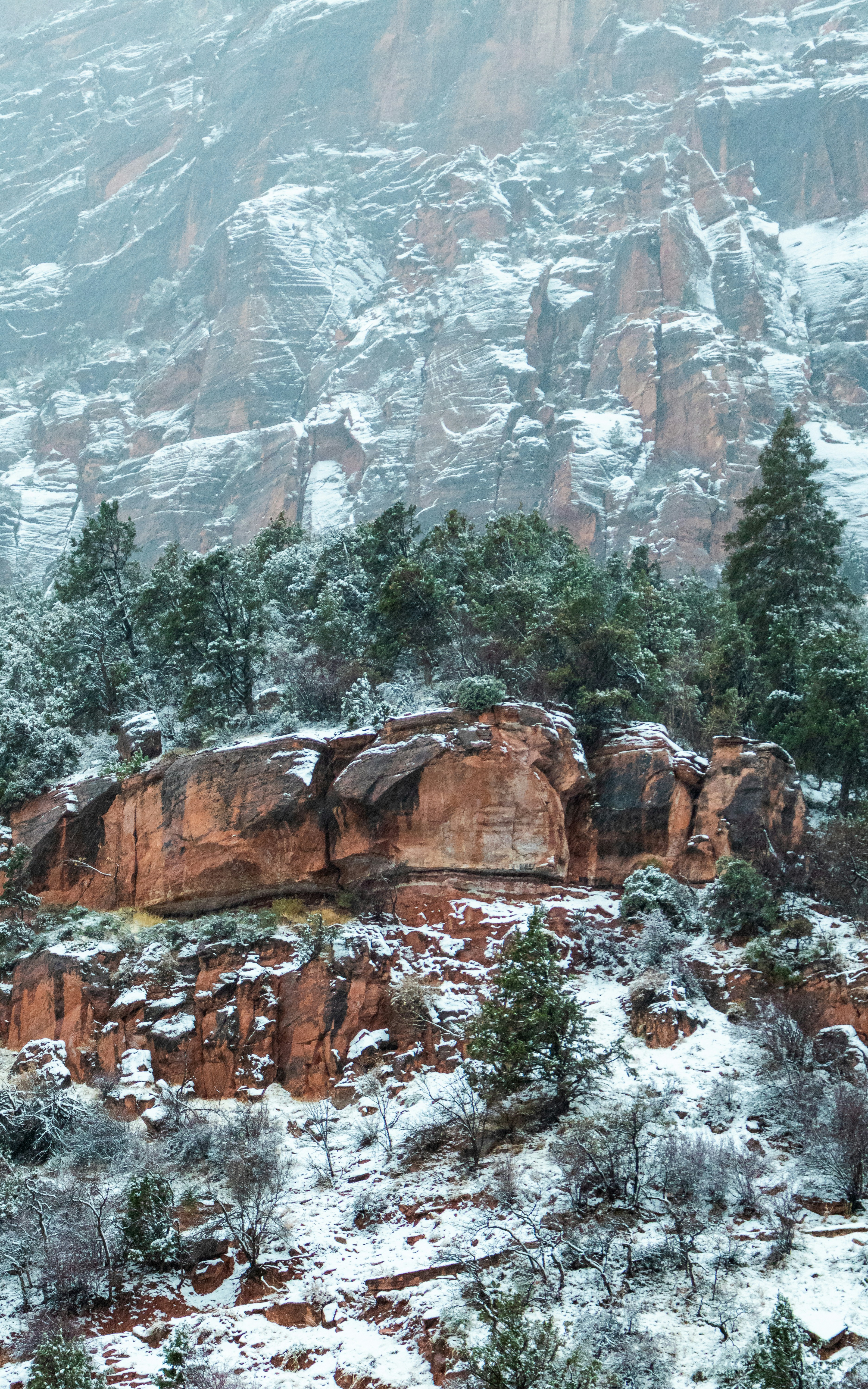 Photo by zoshuacolah