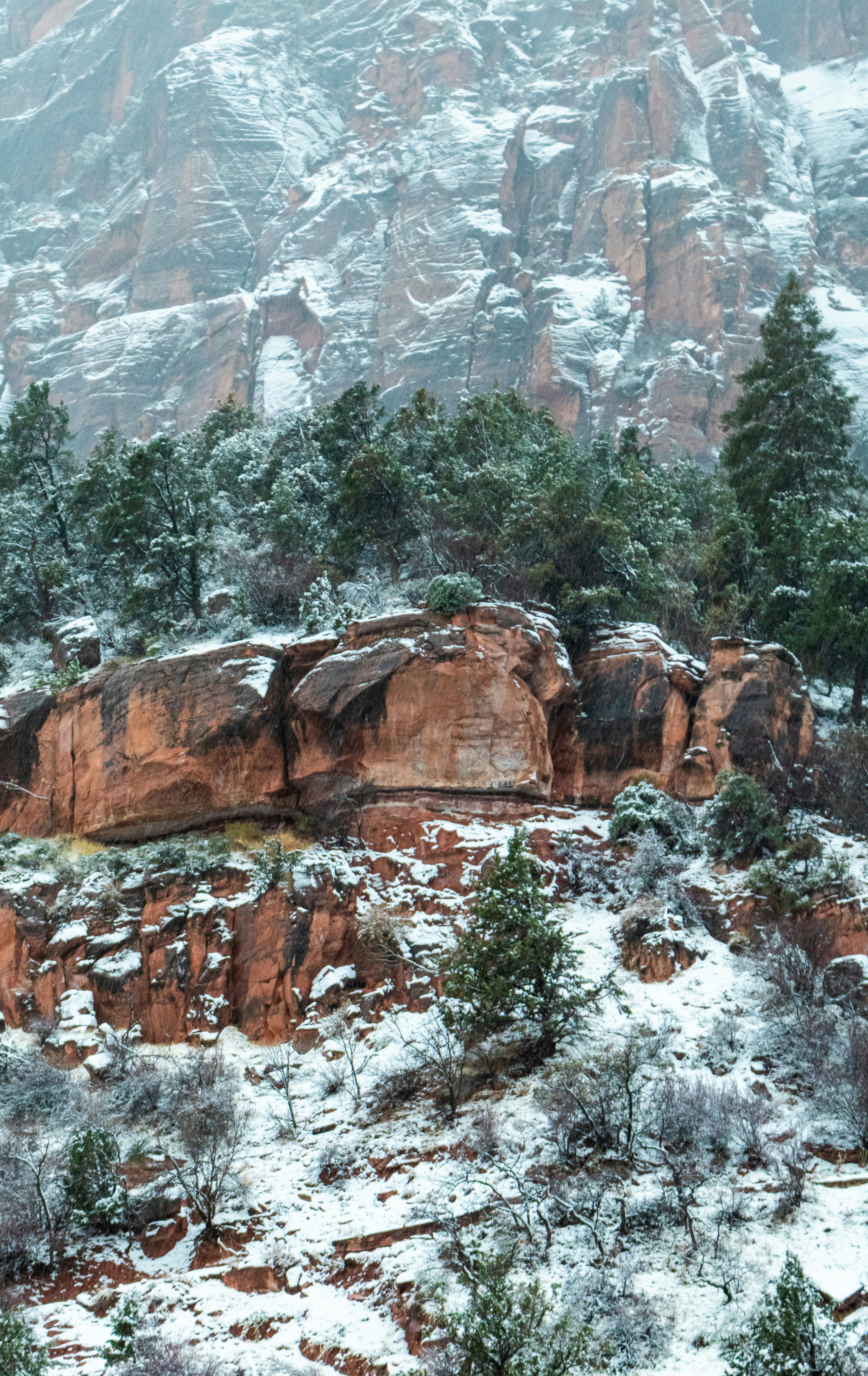 Photo by zoshuacolah