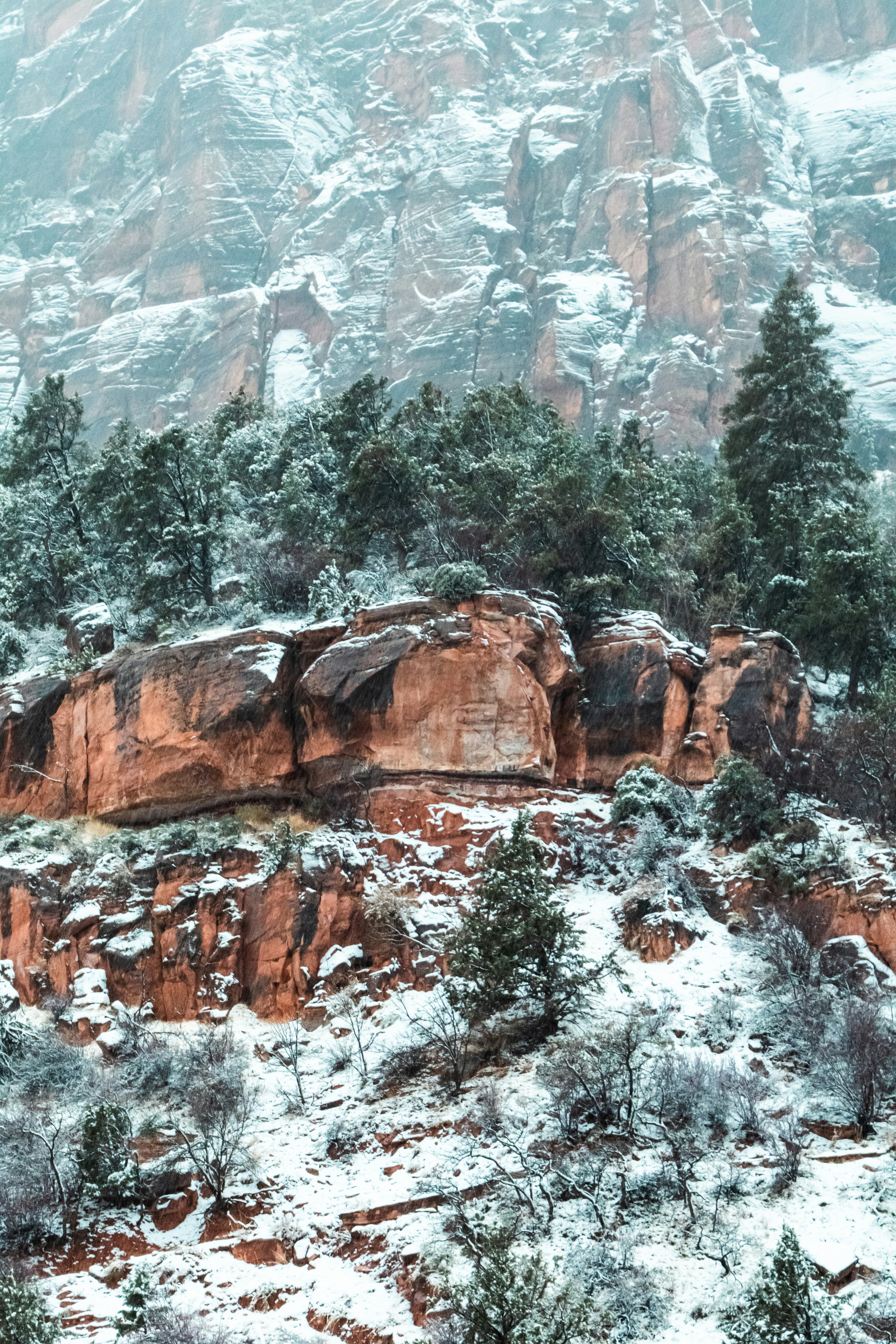 Snow-covered rocks and trees on a mountainside