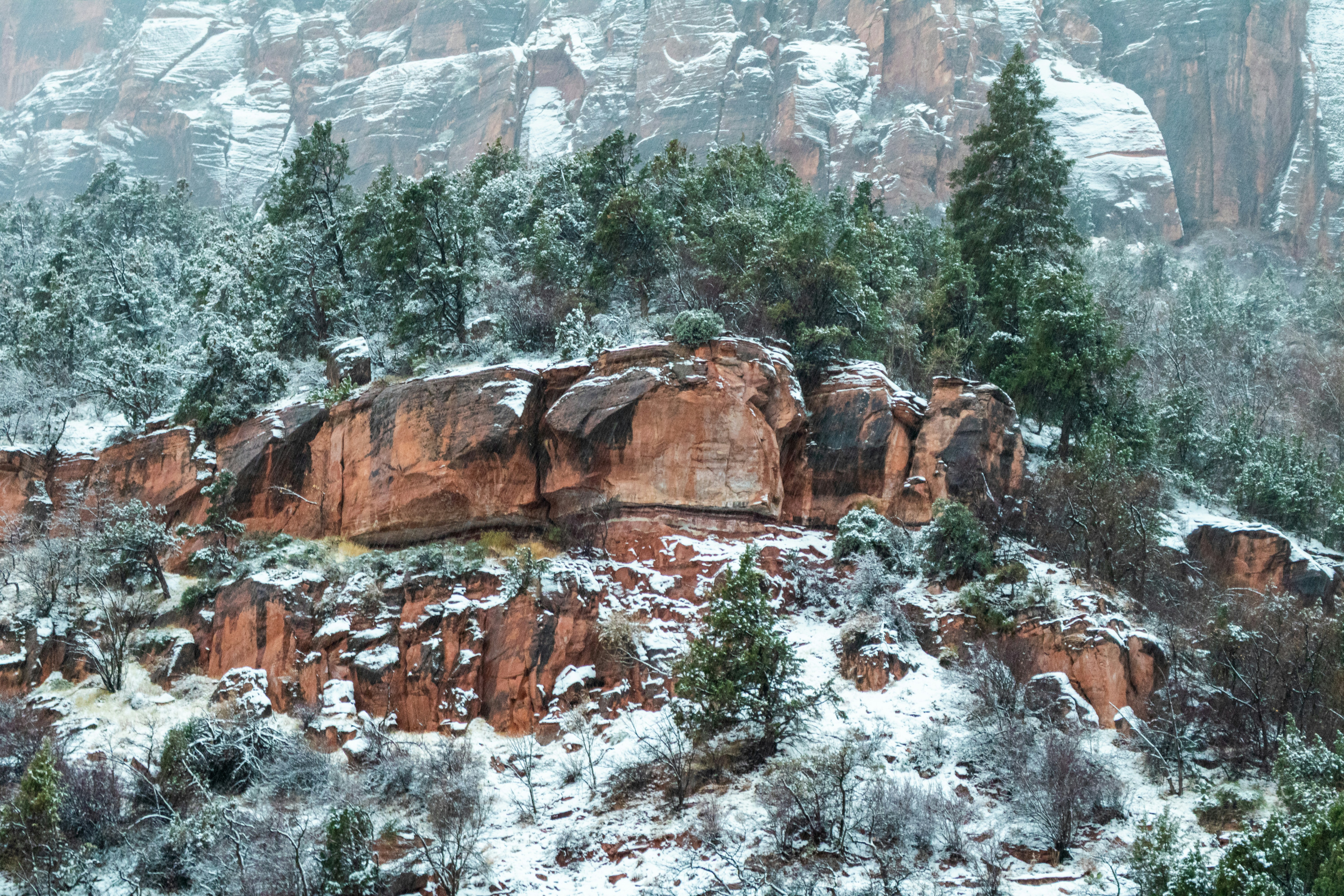 Photo by zoshuacolah