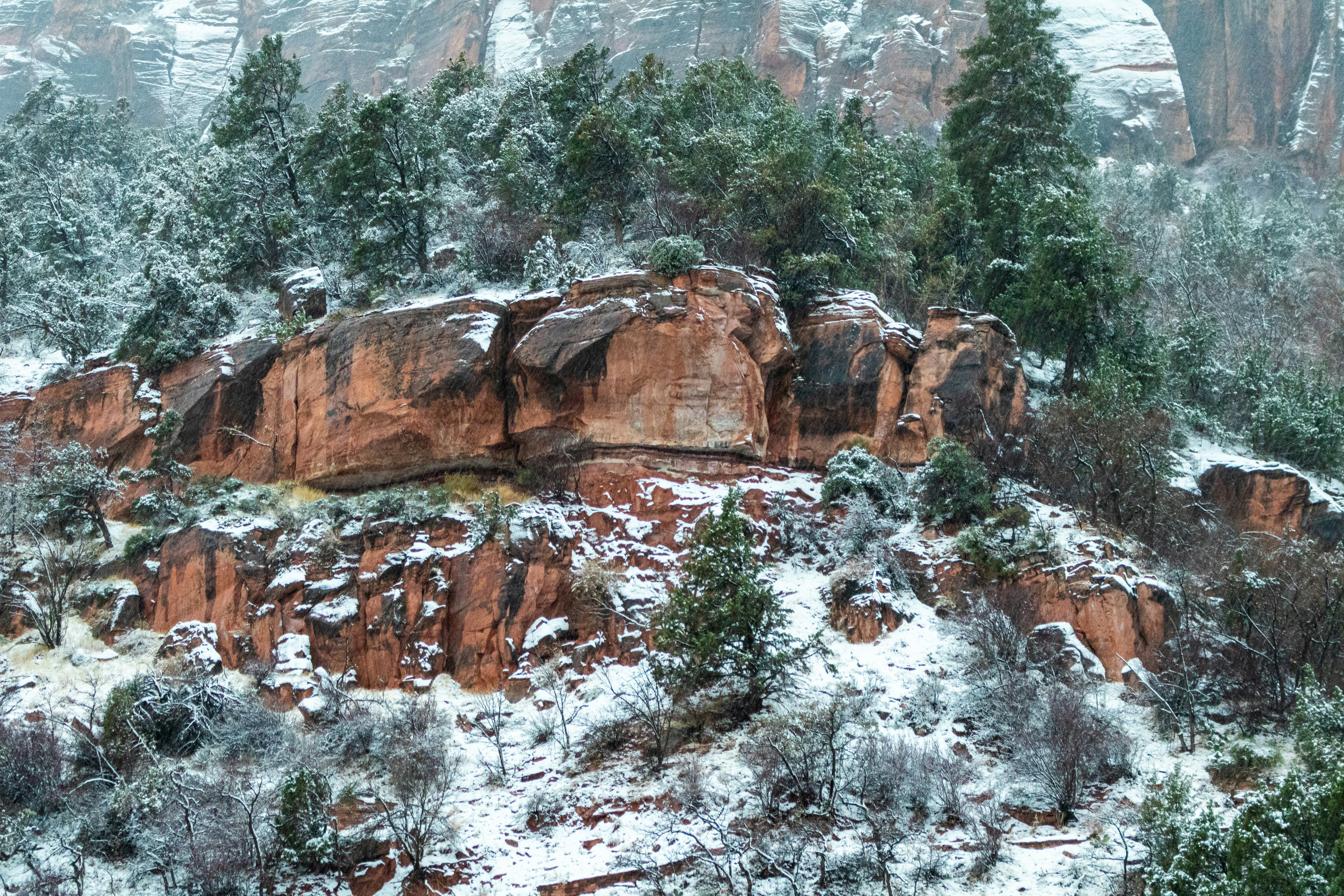 Photo by zoshuacolah