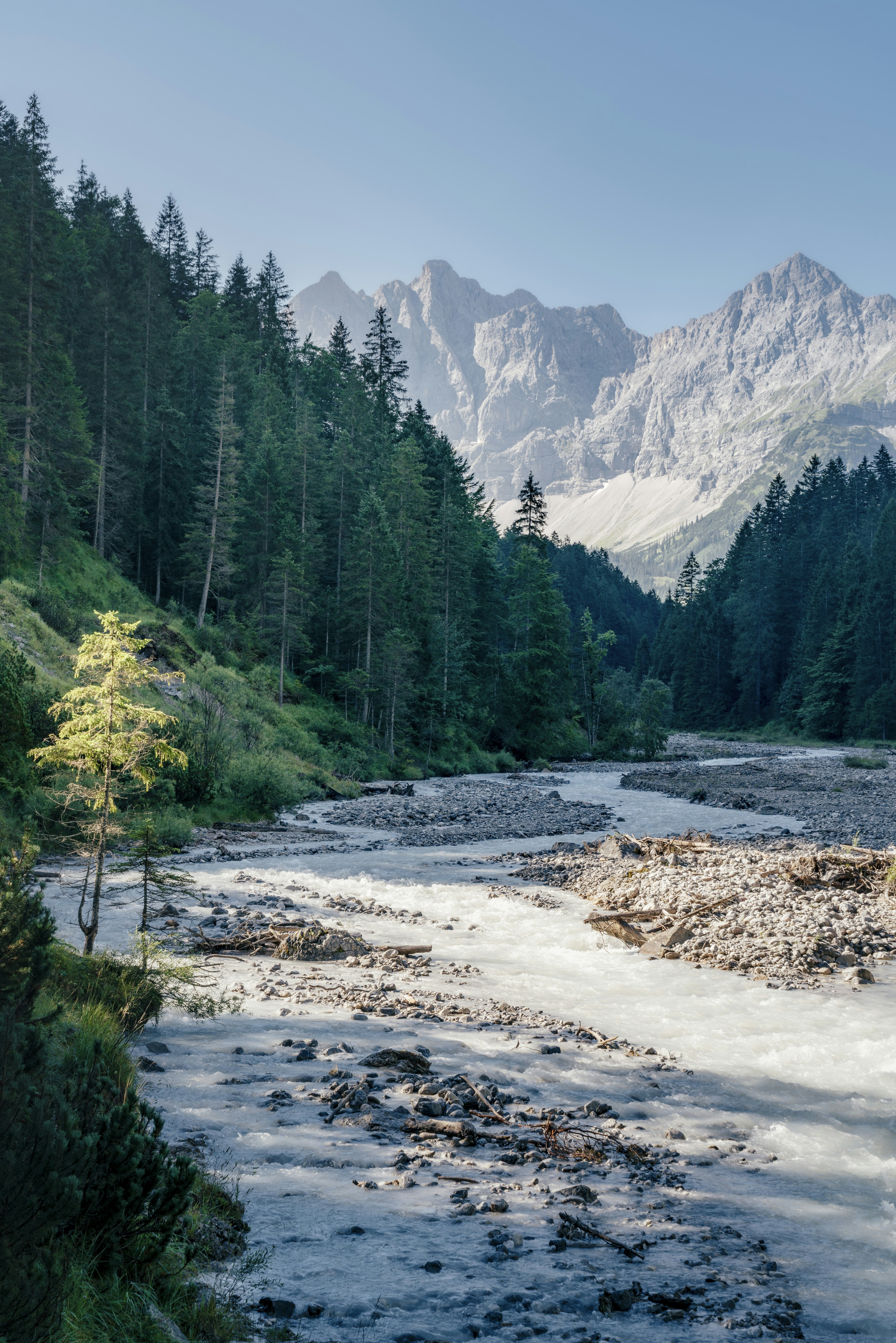 Photo by danielsessler