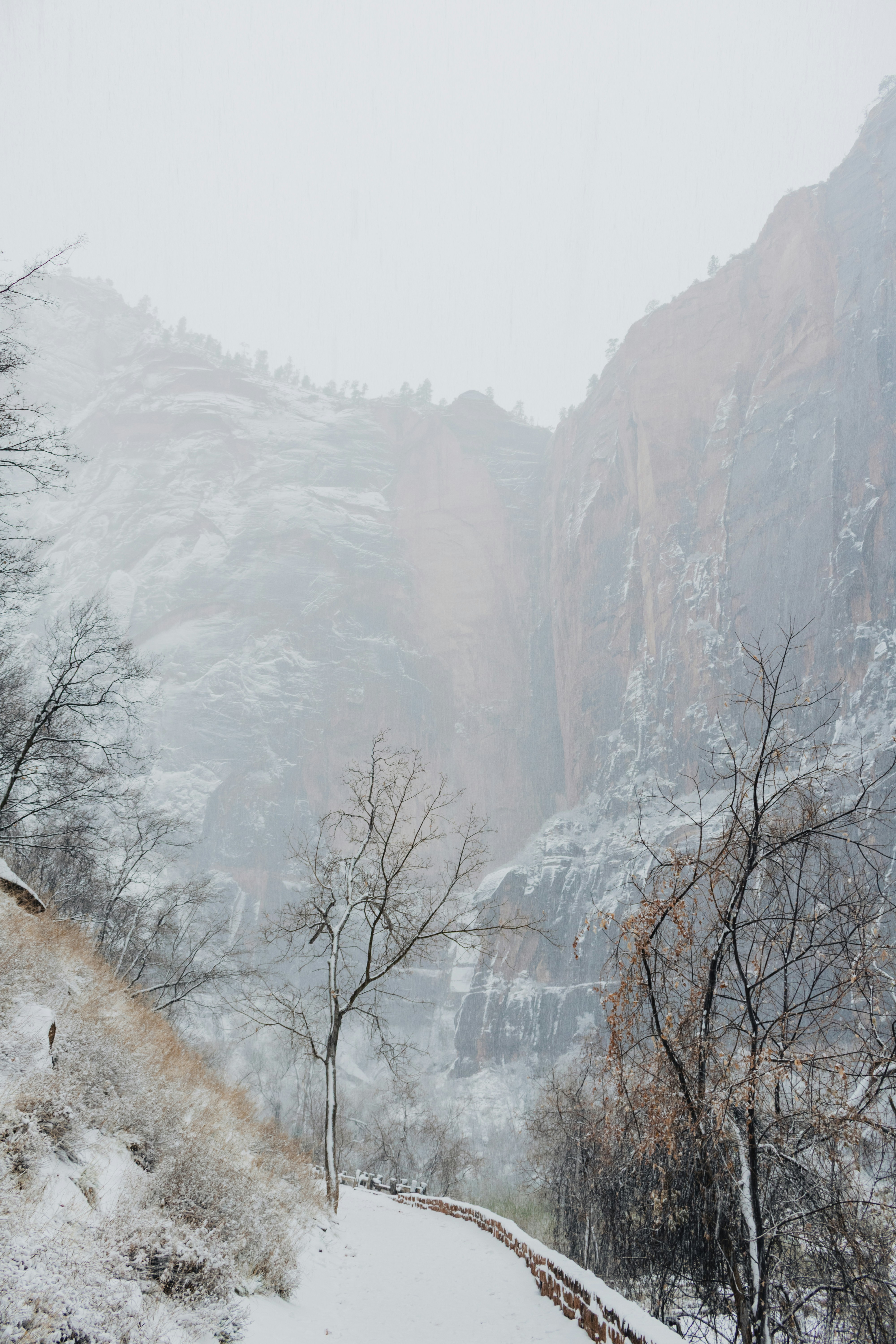 Photo by zoshuacolah