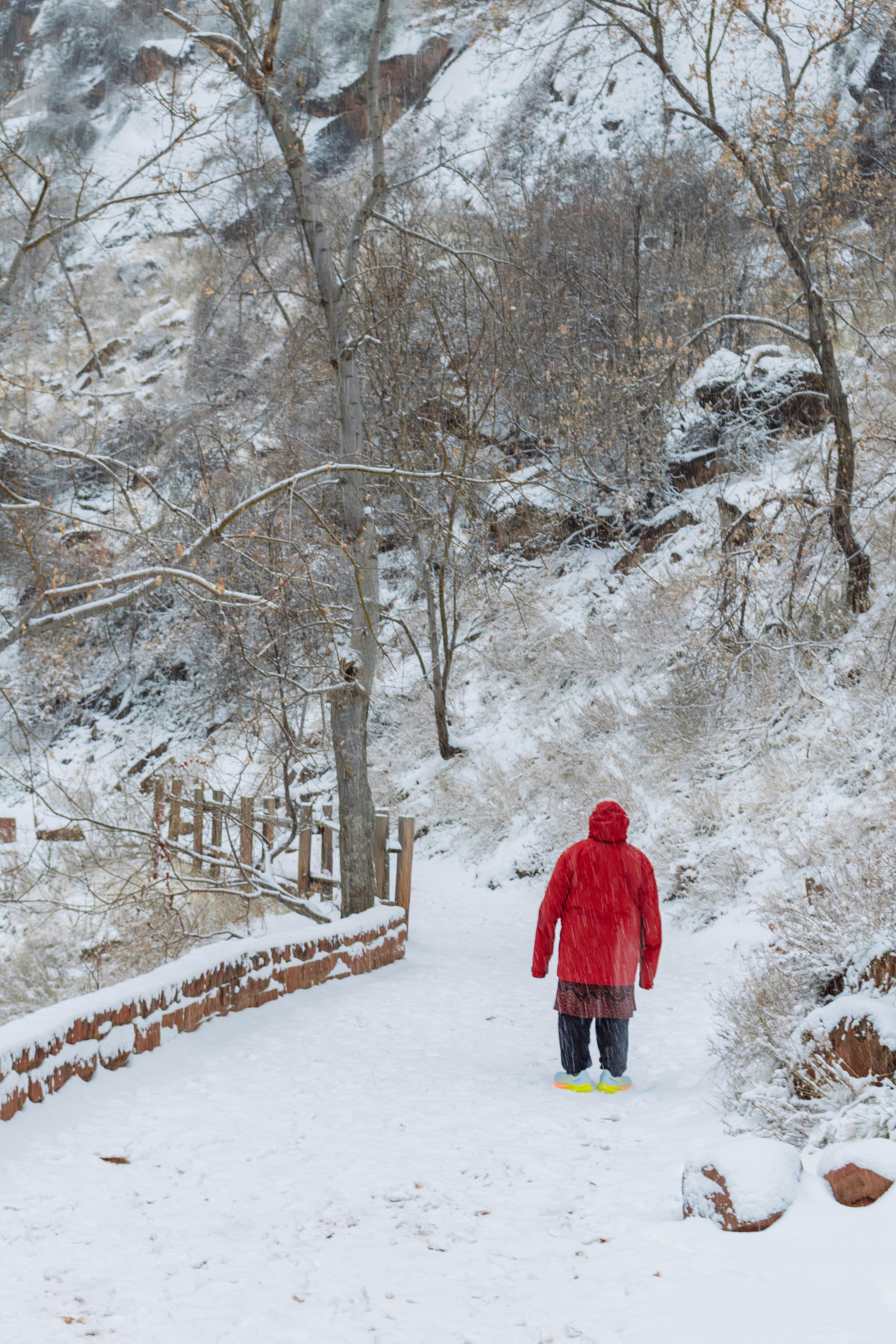 Photo by zoshuacolah