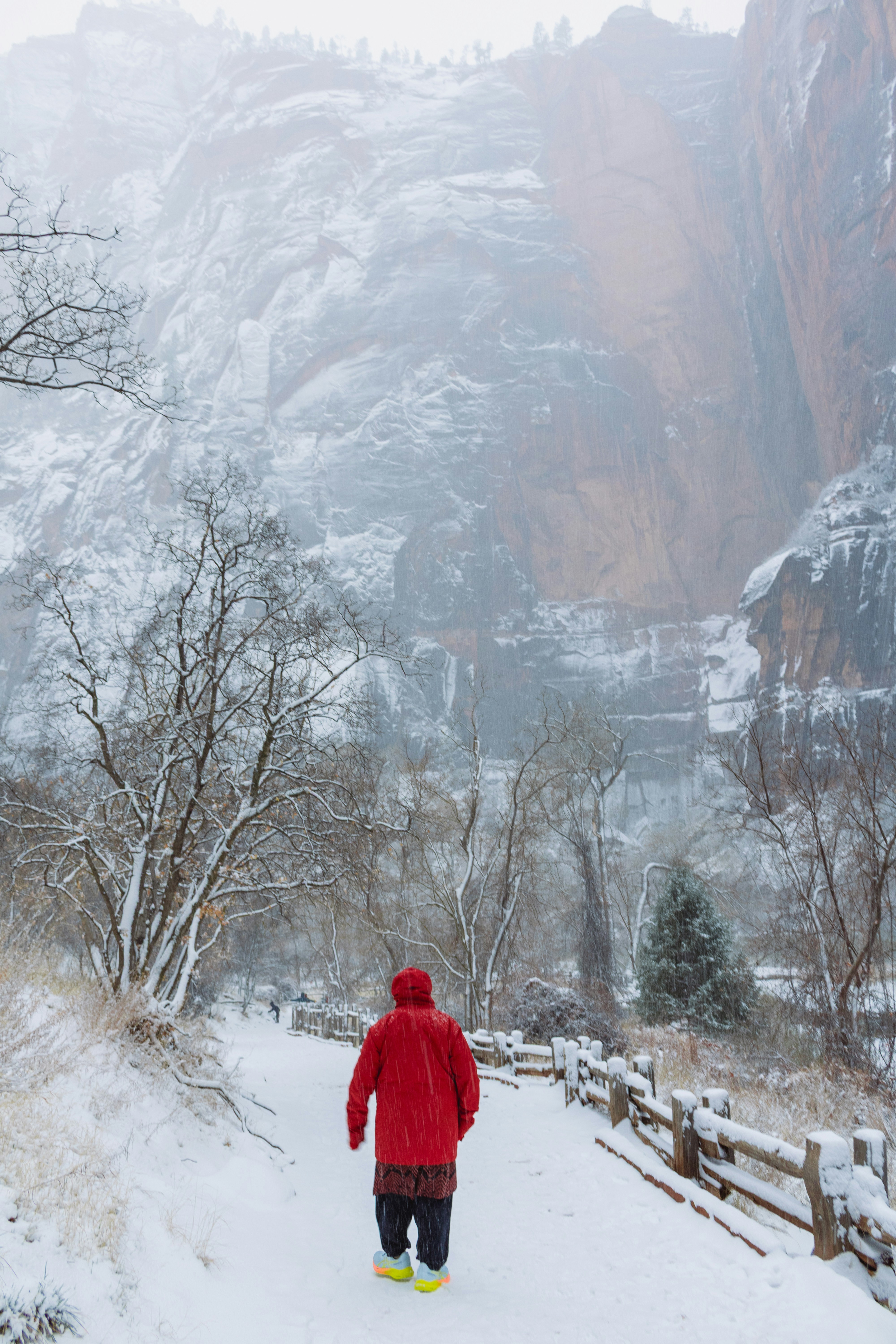 Photo by zoshuacolah