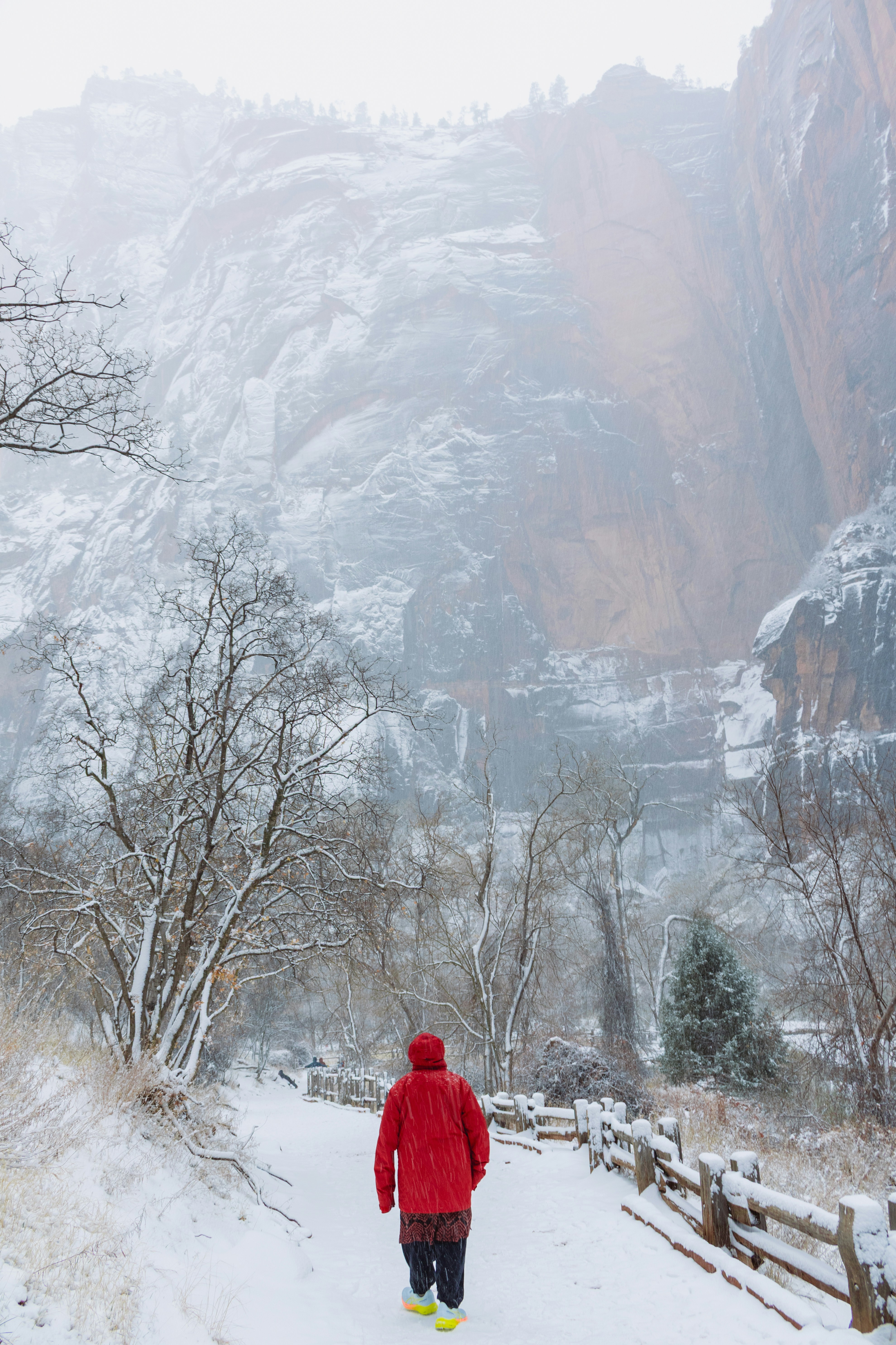 Photo by zoshuacolah