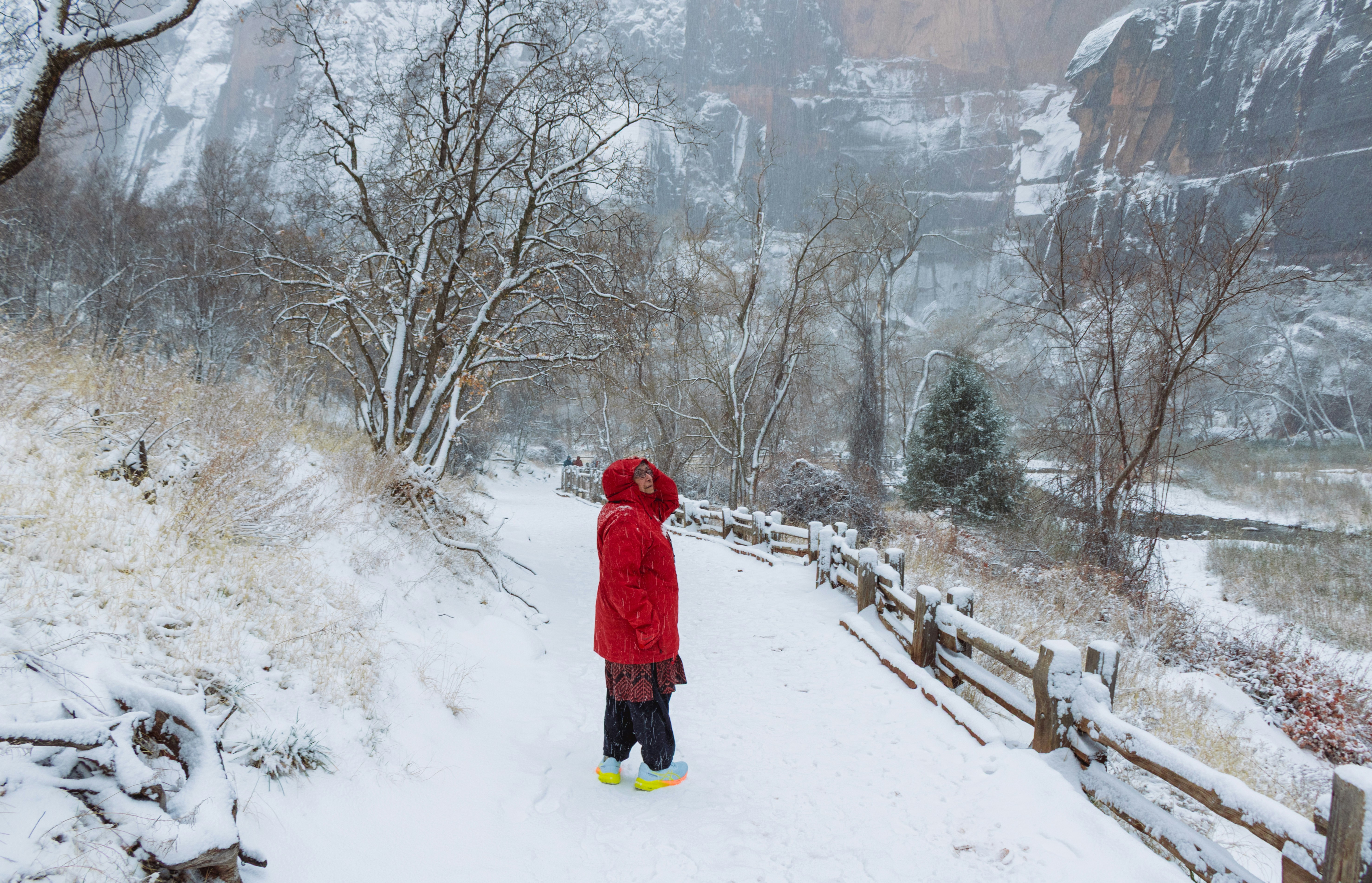 Photo by zoshuacolah