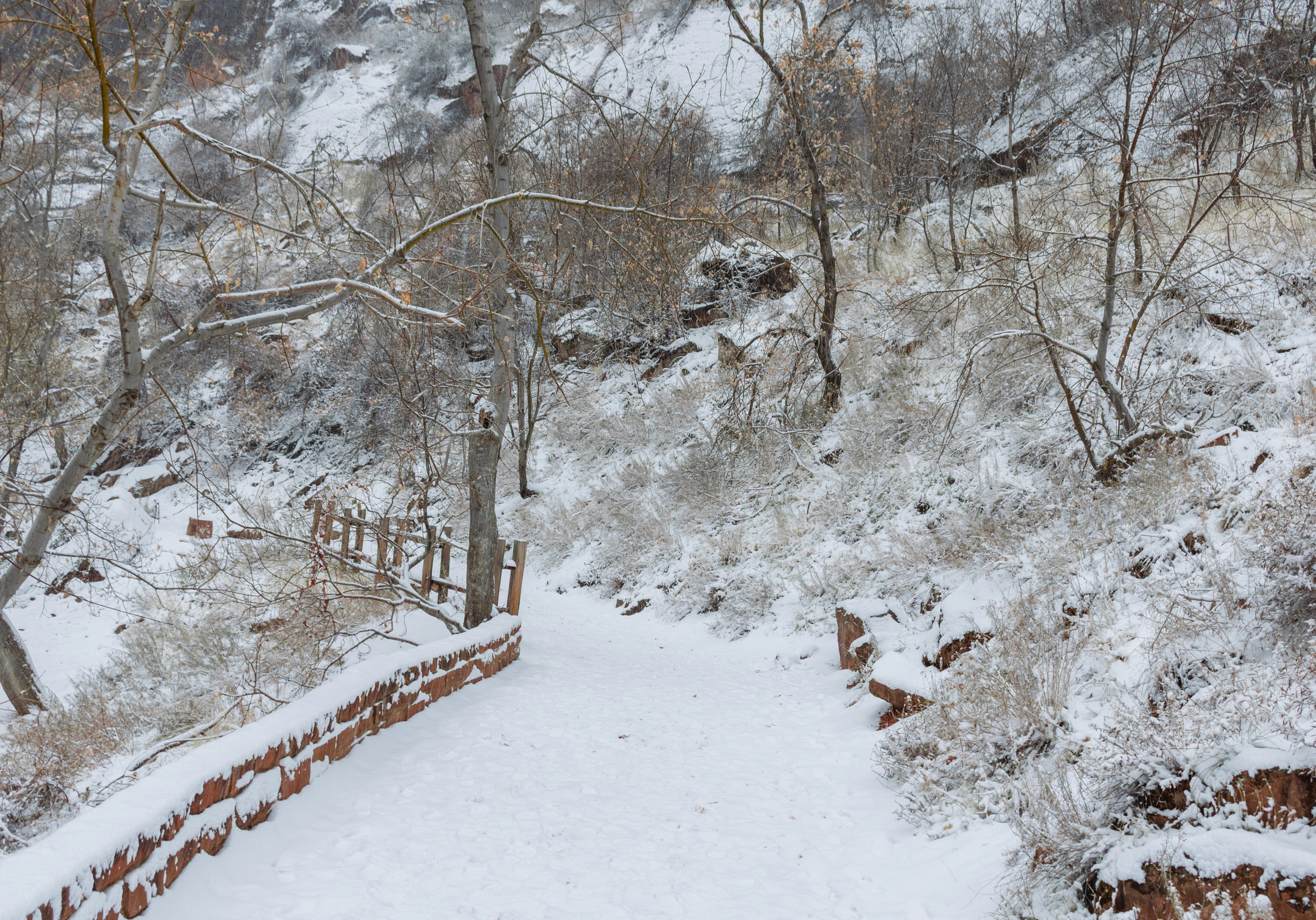 Photo by zoshuacolah