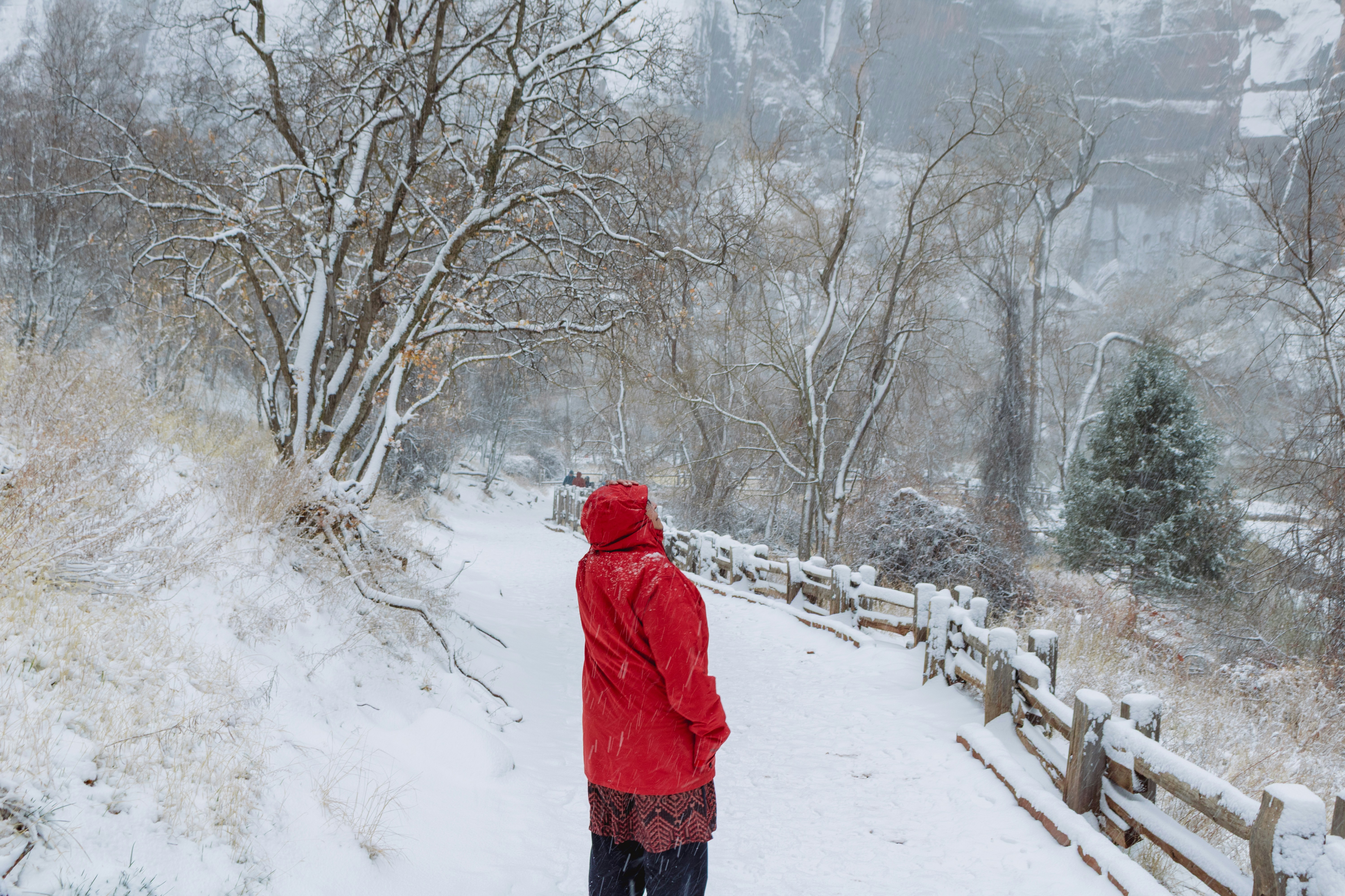 Photo by zoshuacolah