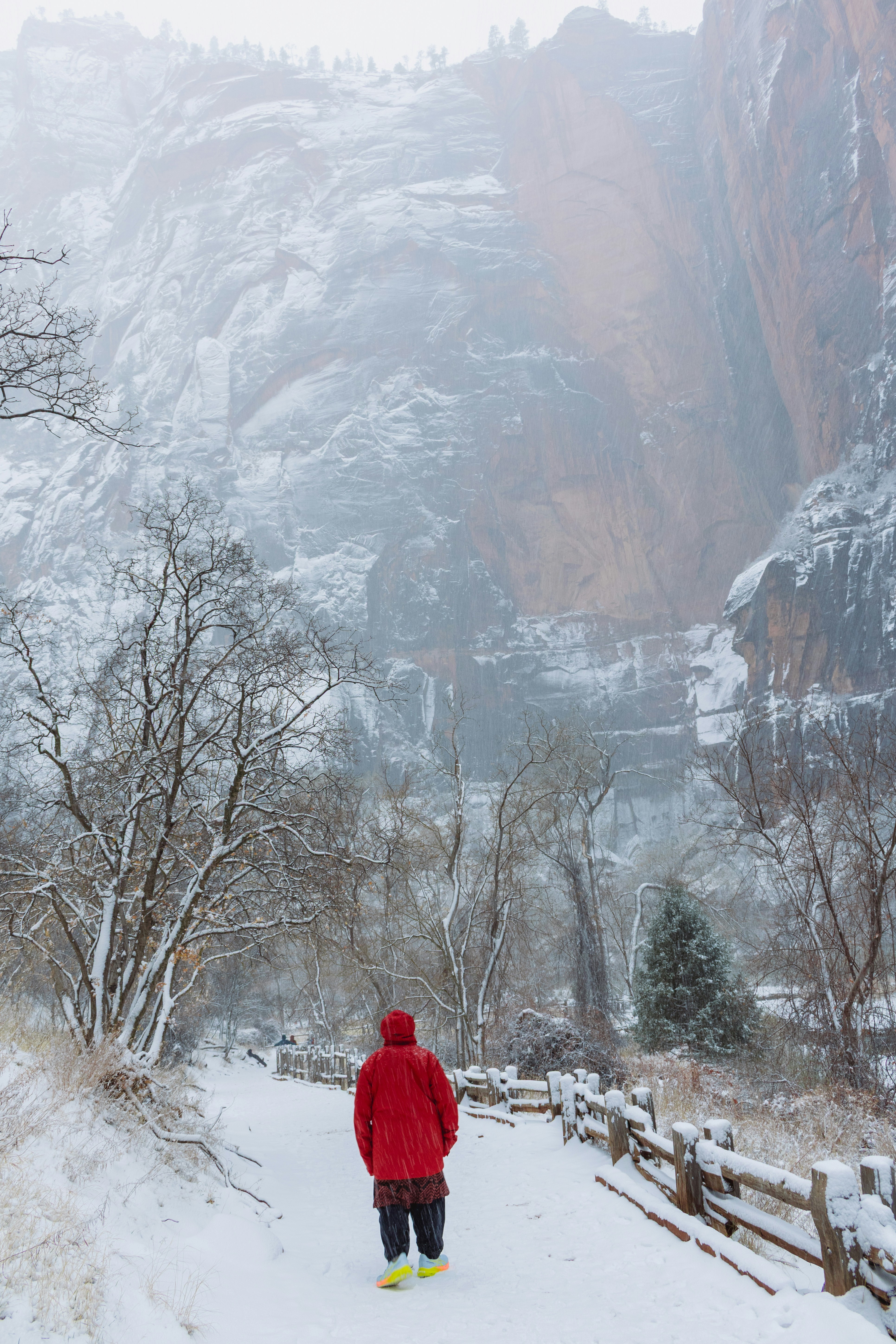 Photo by zoshuacolah