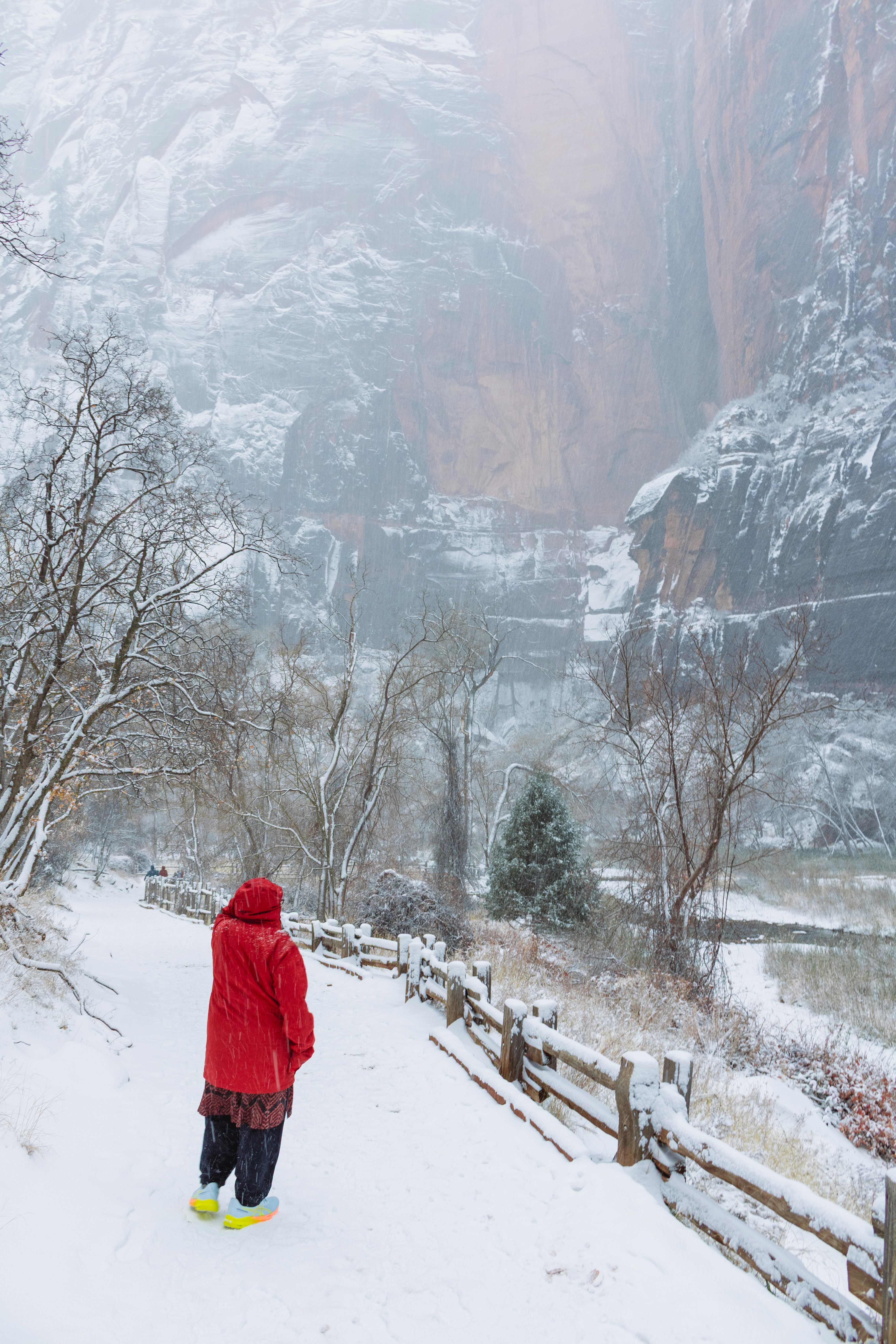 Photo by zoshuacolah