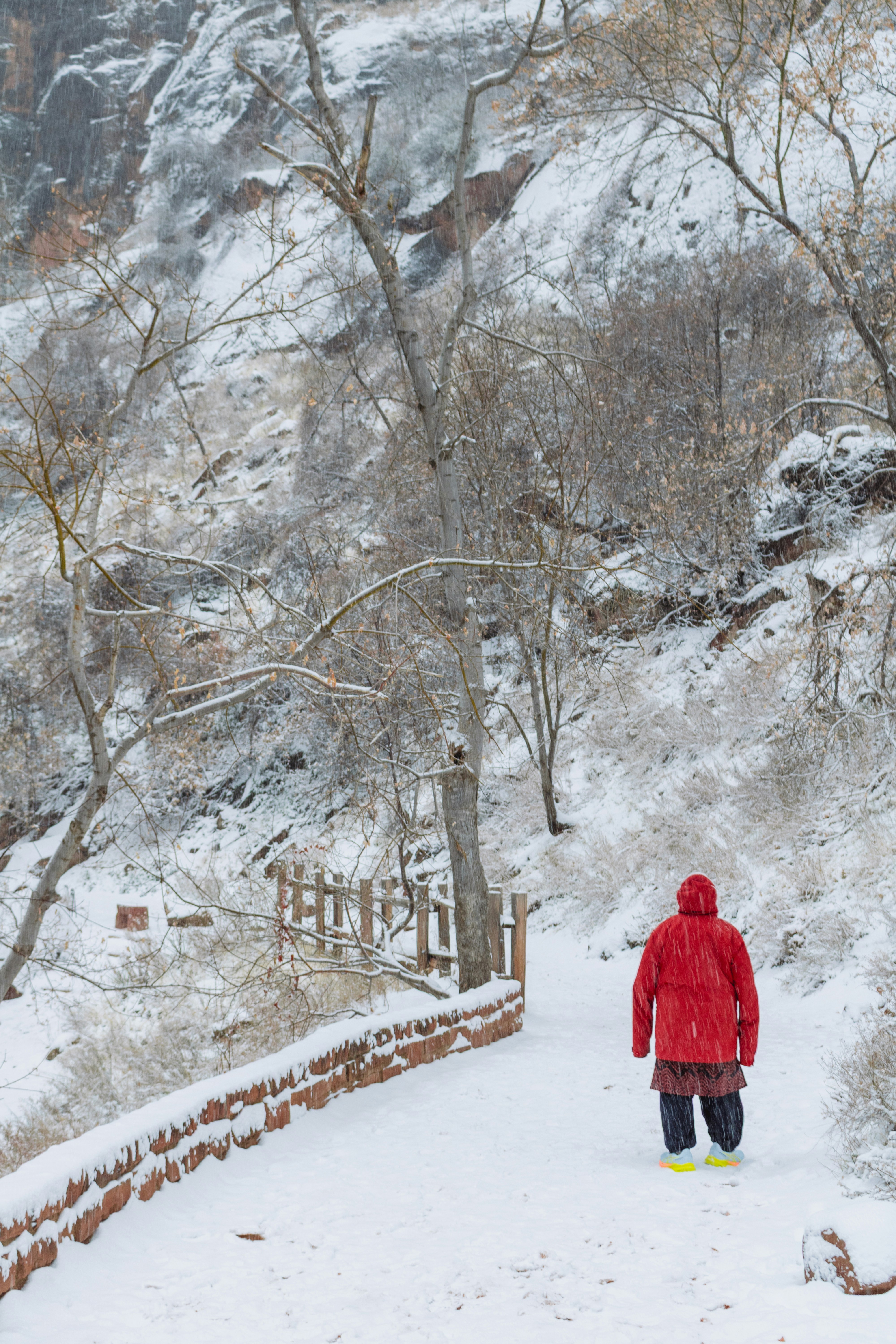 Photo by zoshuacolah