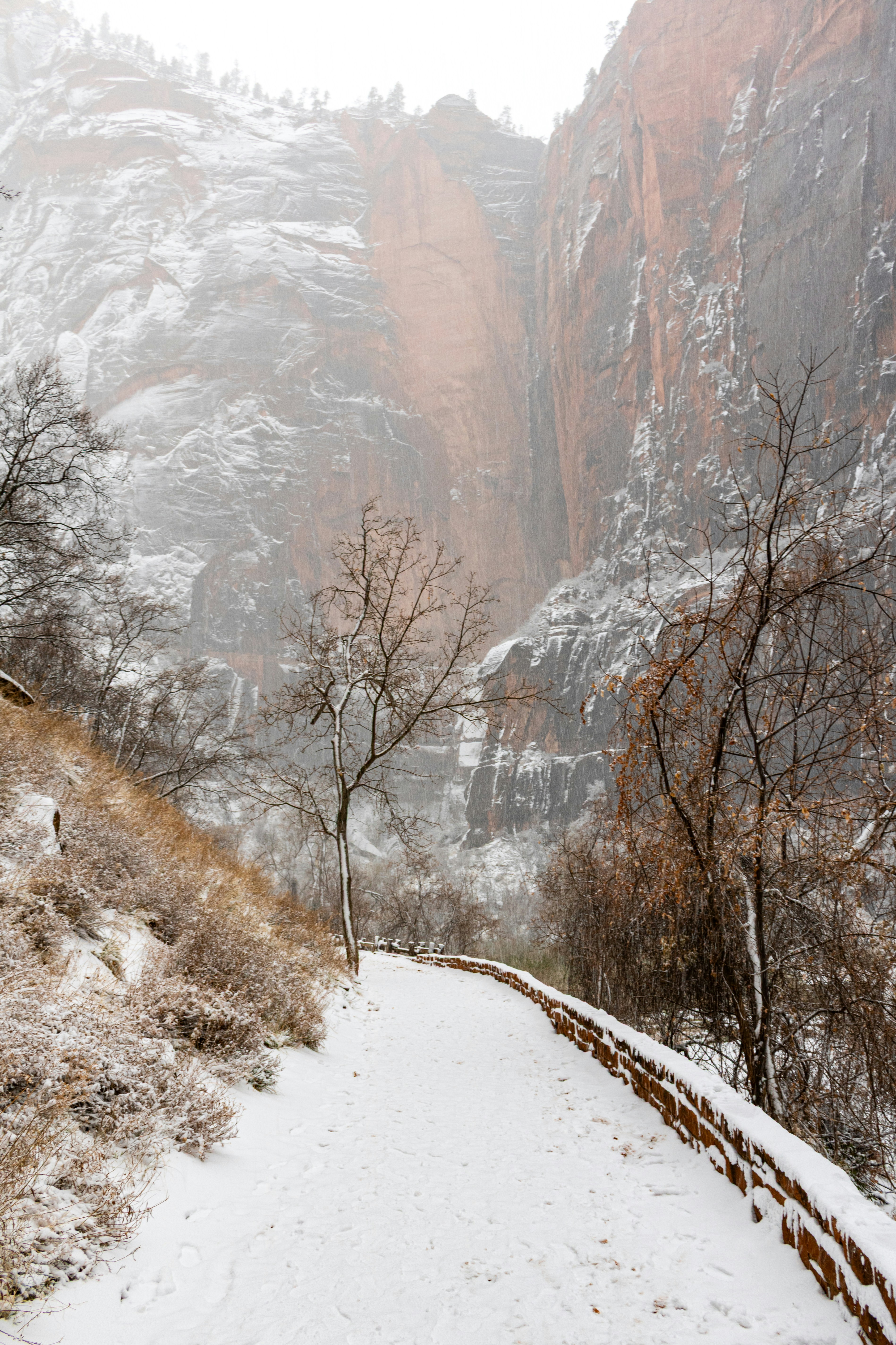 Photo by zoshuacolah